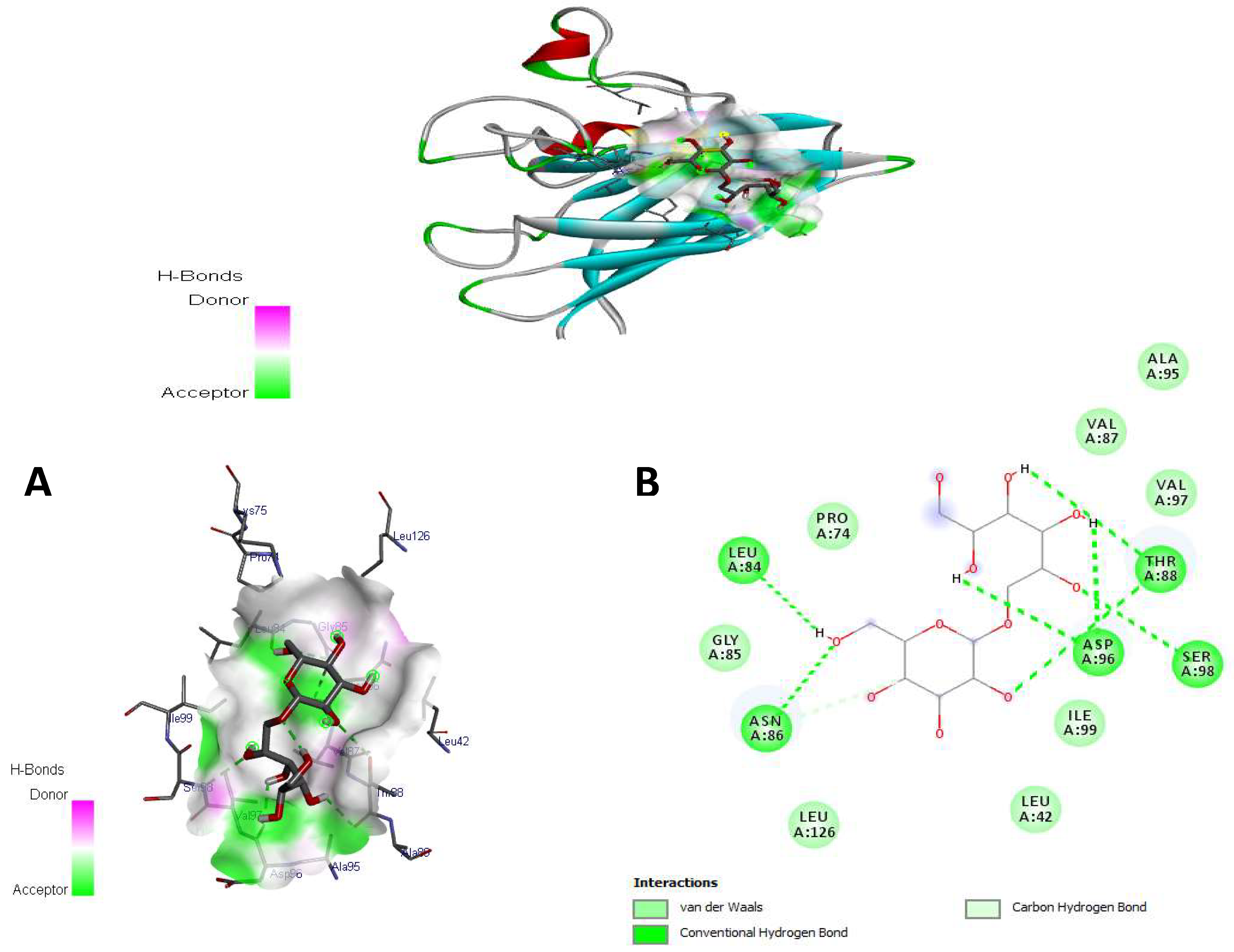 Antioxidants 14 01500 g008