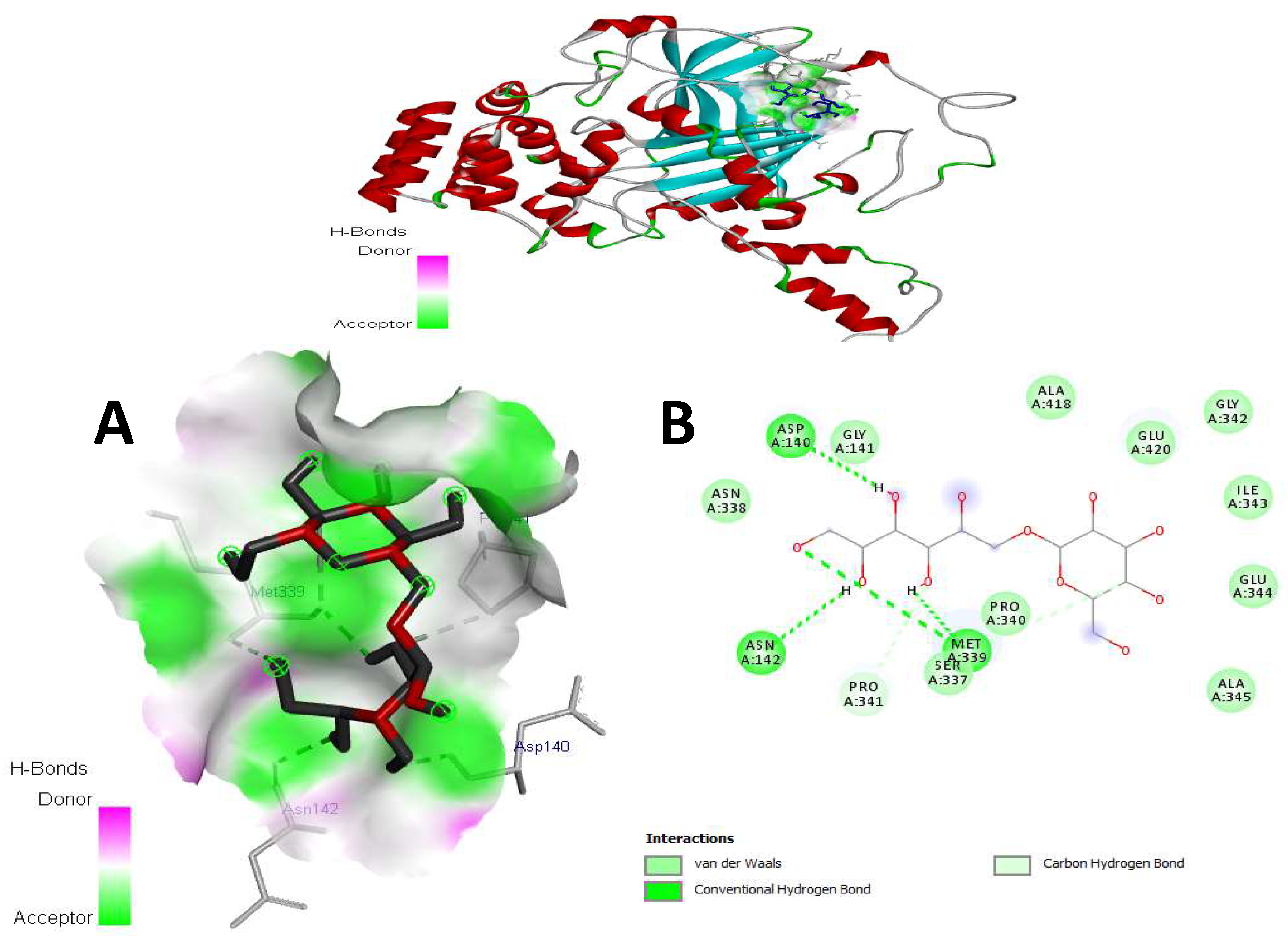Antioxidants 14 01500 g009