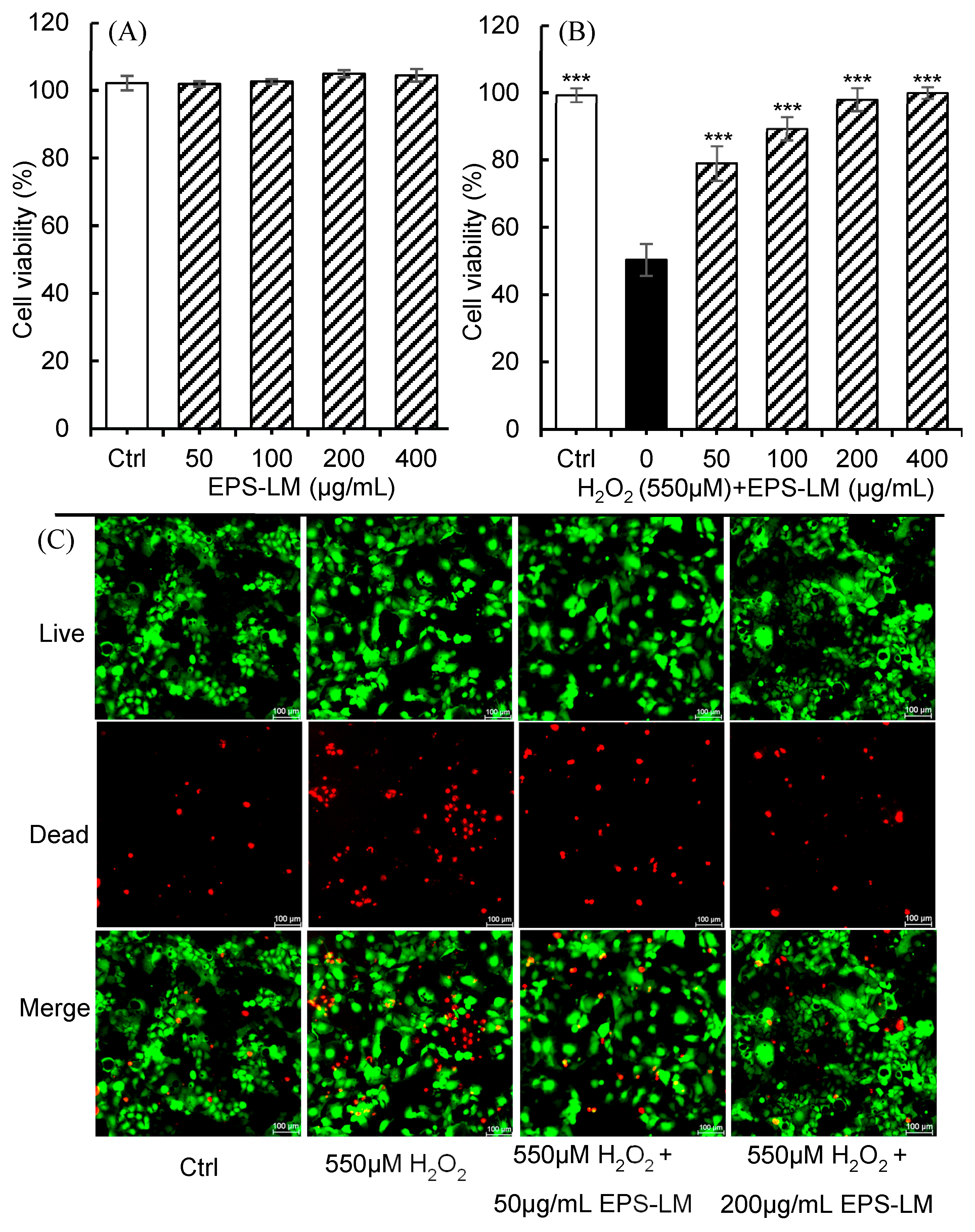 Antioxidants 14 01501 g003