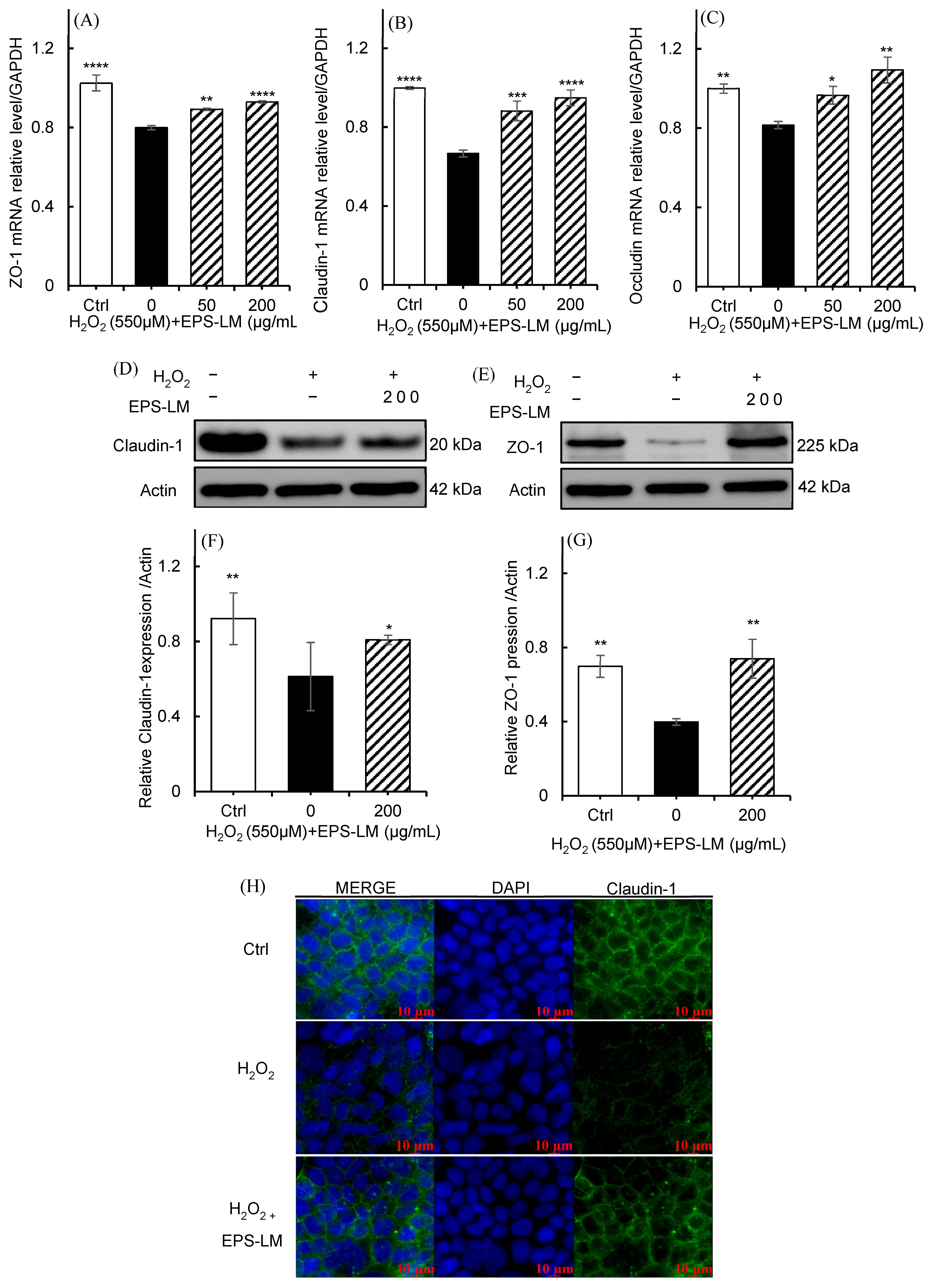 Antioxidants 14 01501 g007