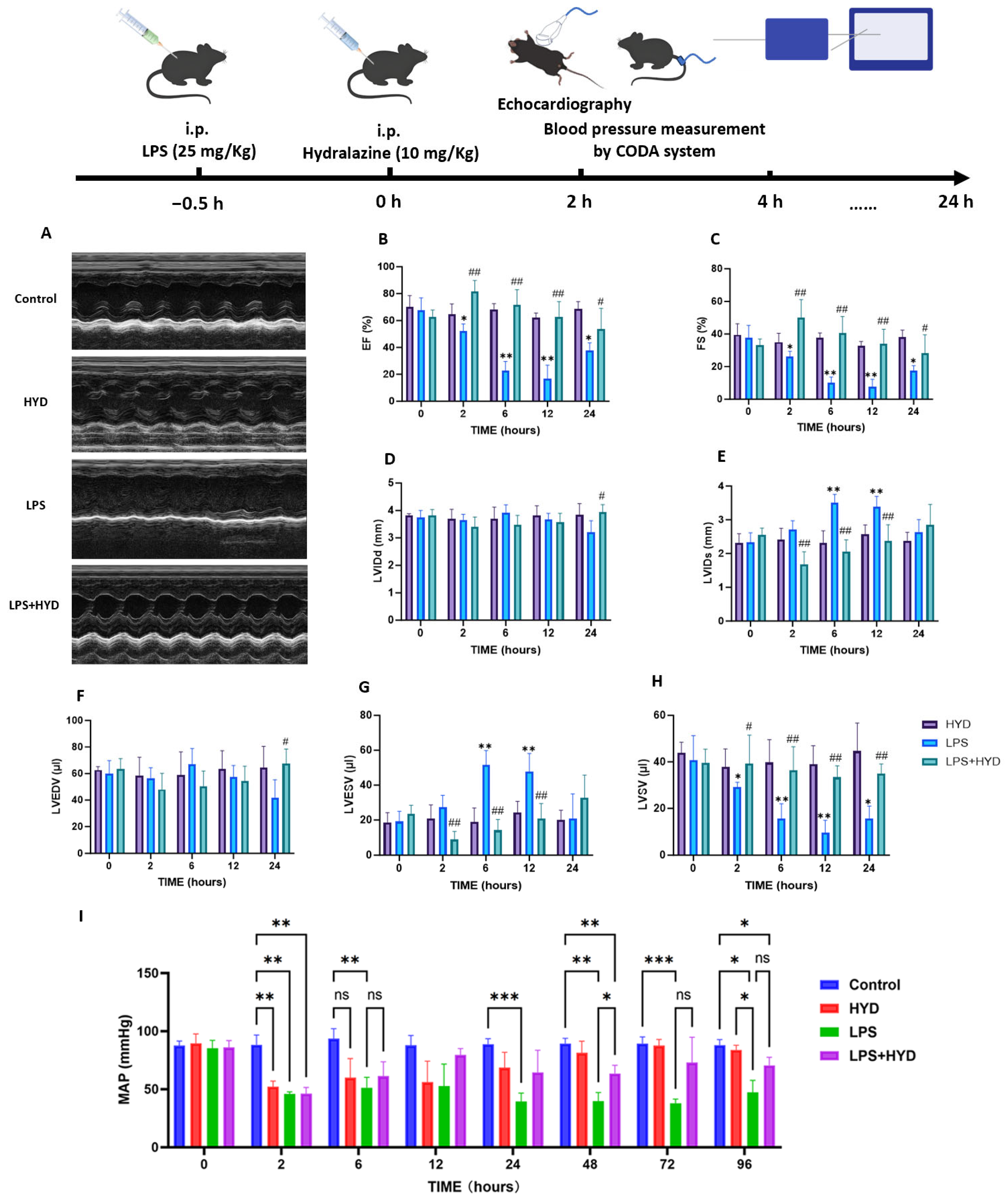 Antioxidants 14 01502 g002
