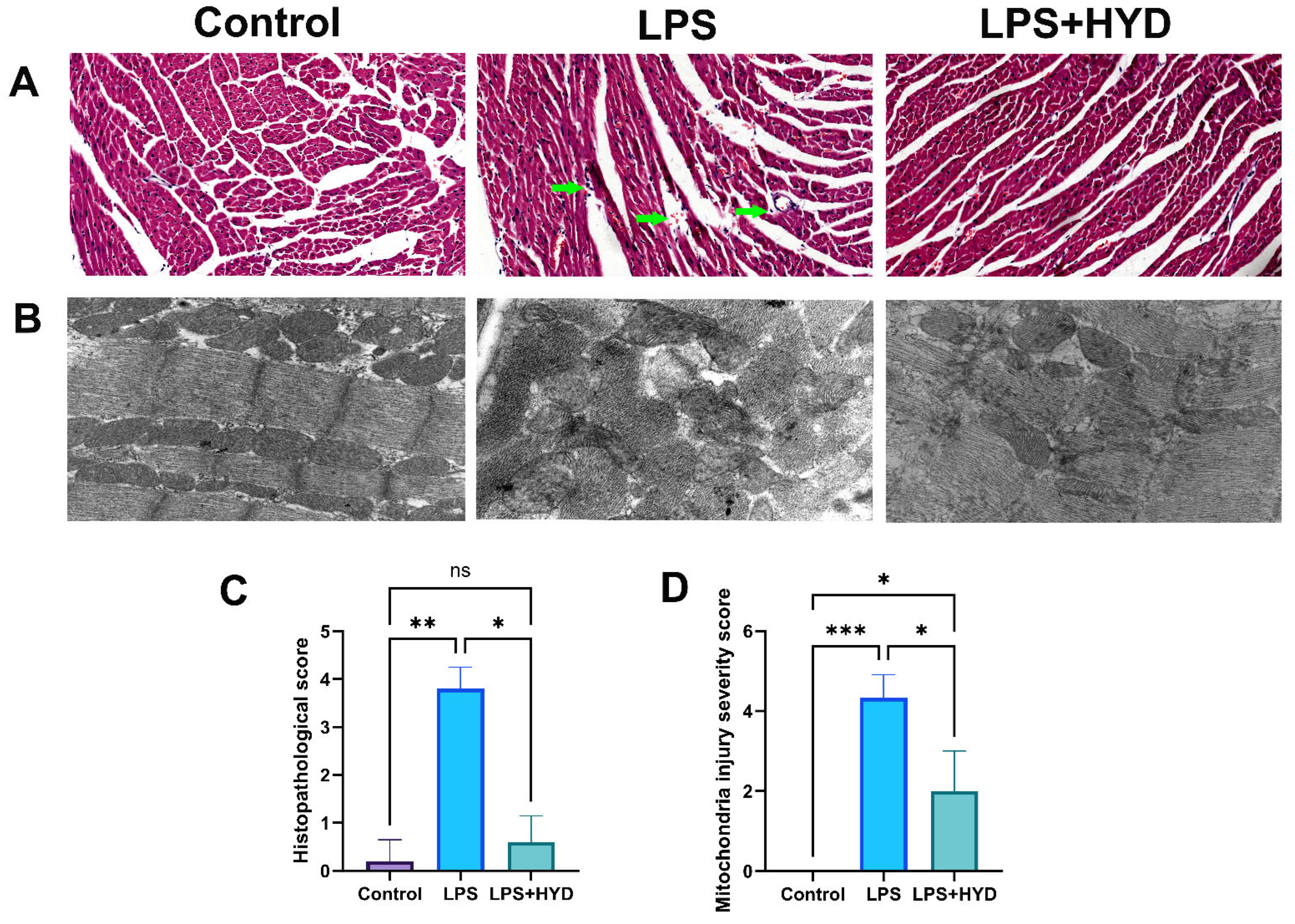 Antioxidants 14 01502 g004