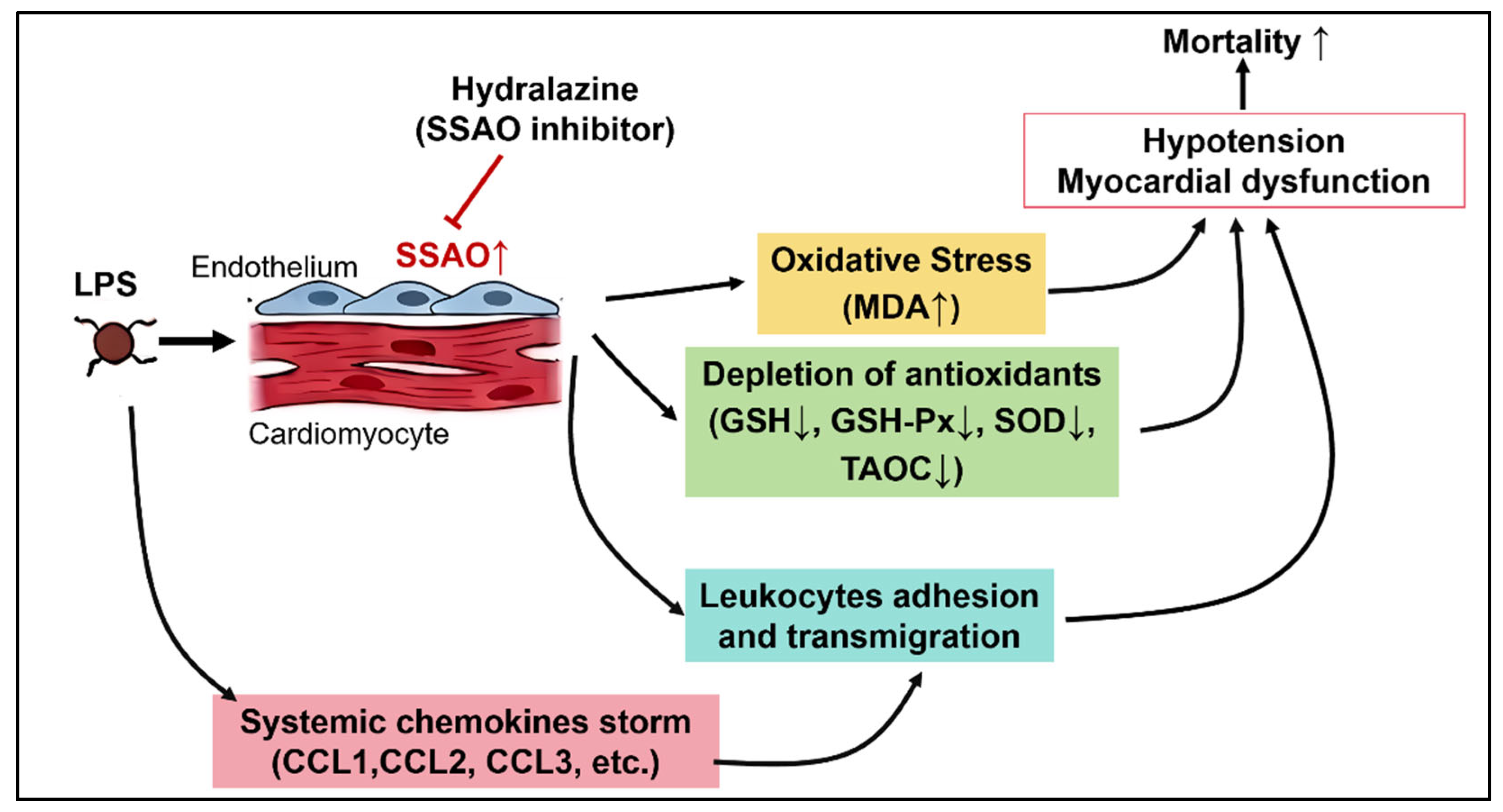 Antioxidants 14 01502 g009