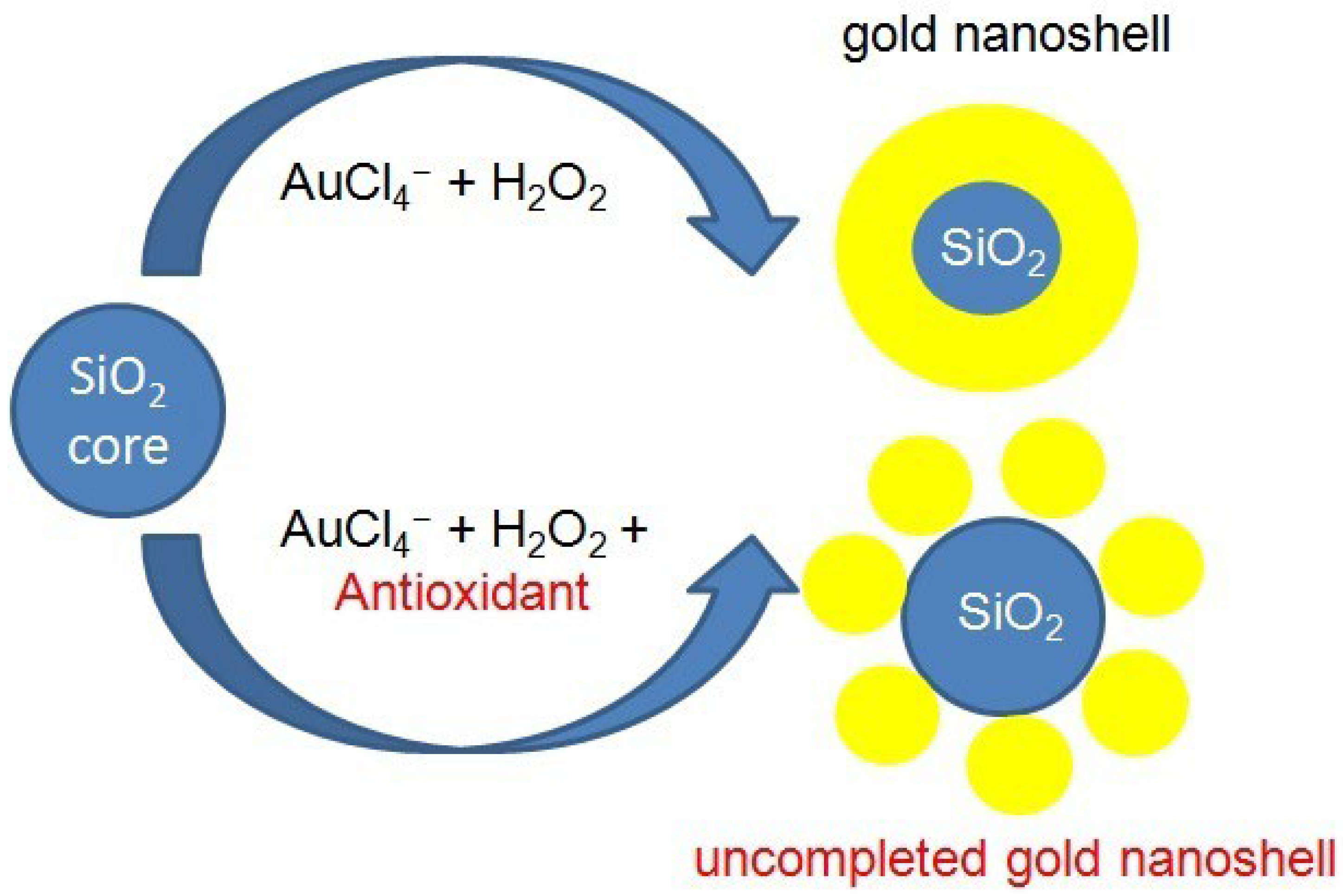Antioxidants 14 01506 g003