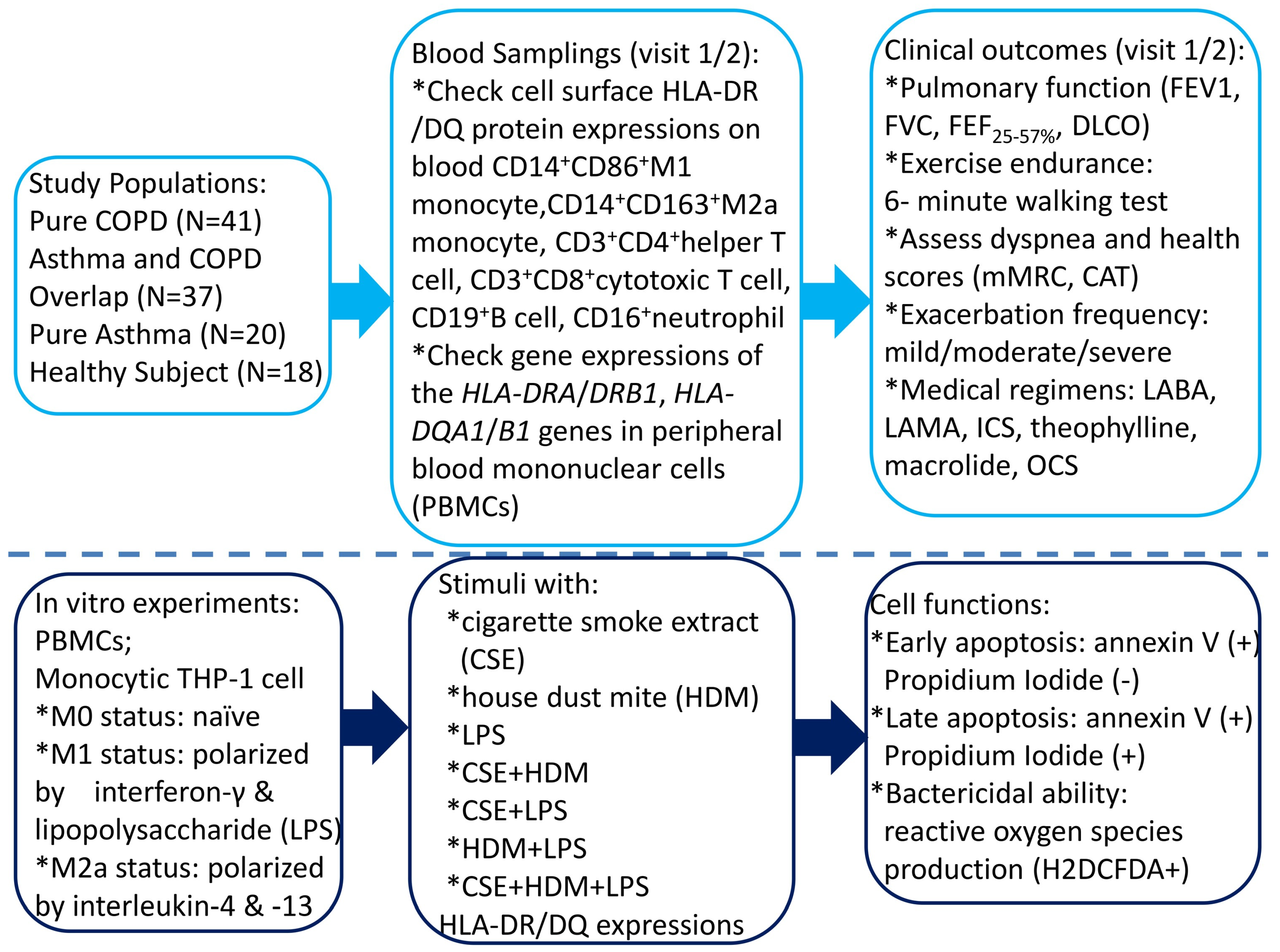 Antioxidants 14 01507 g001