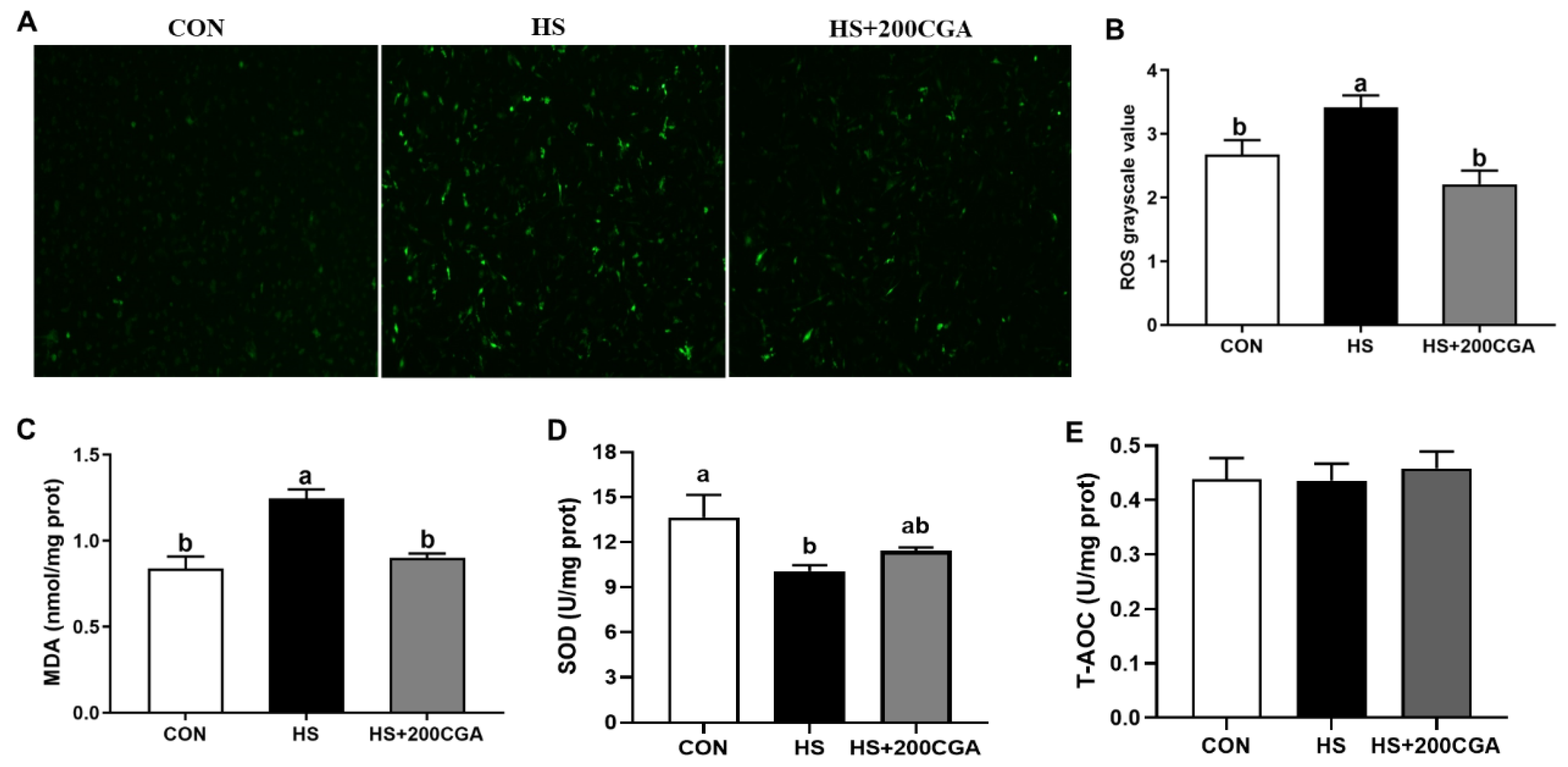 Antioxidants 15 00002 g005