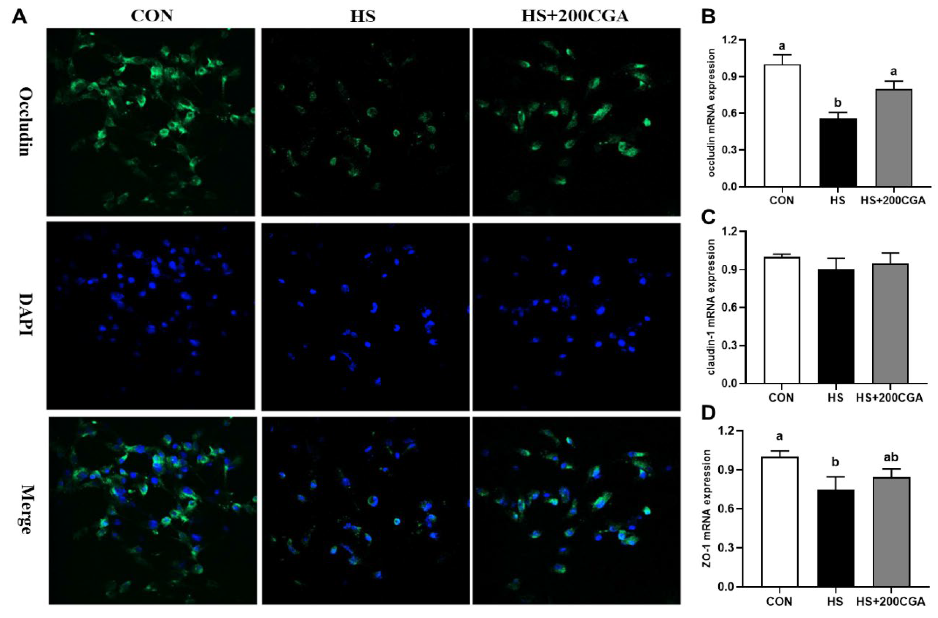 Antioxidants 15 00002 g006