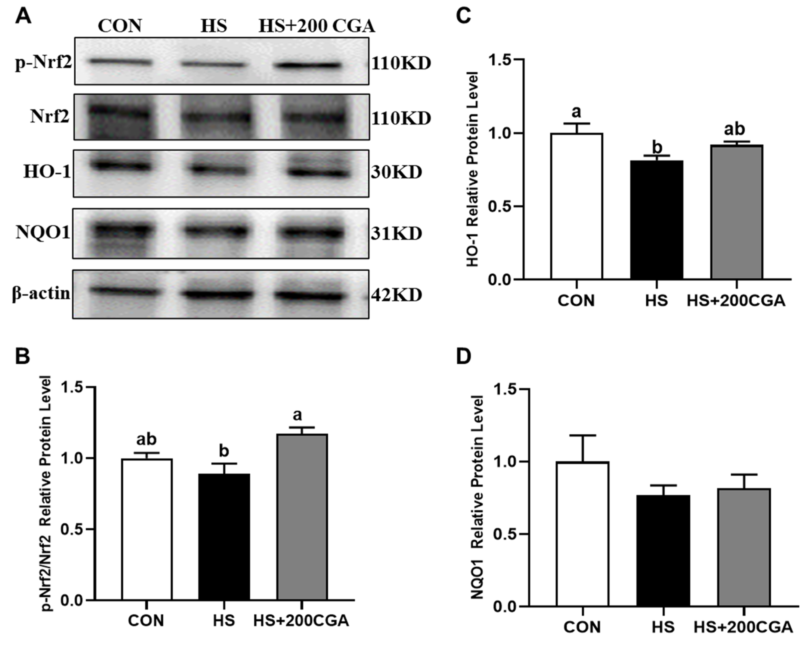 Antioxidants 15 00002 g007