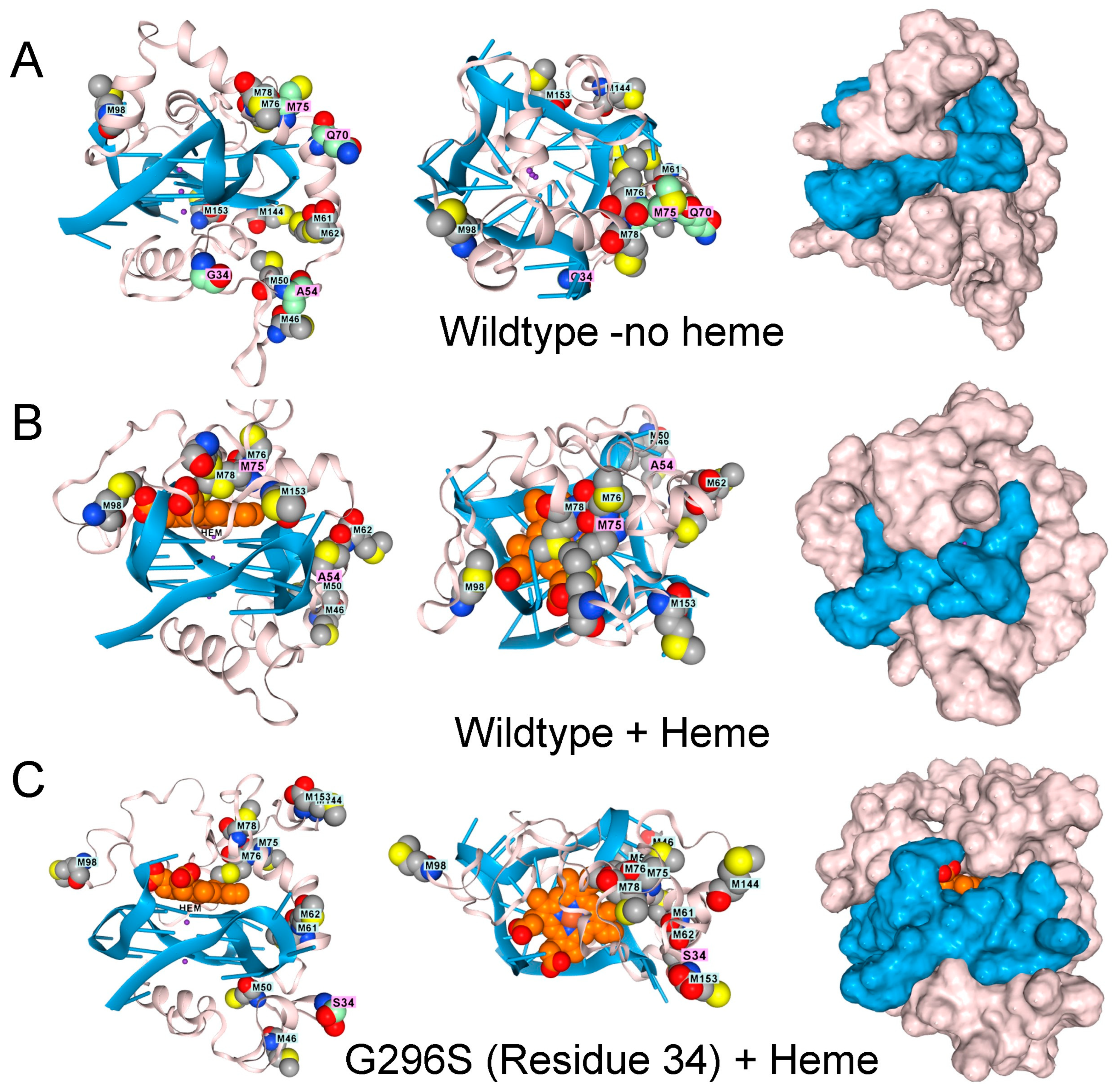 Antioxidants 15 00005 g003a Antioxidants 15 00005 g003a