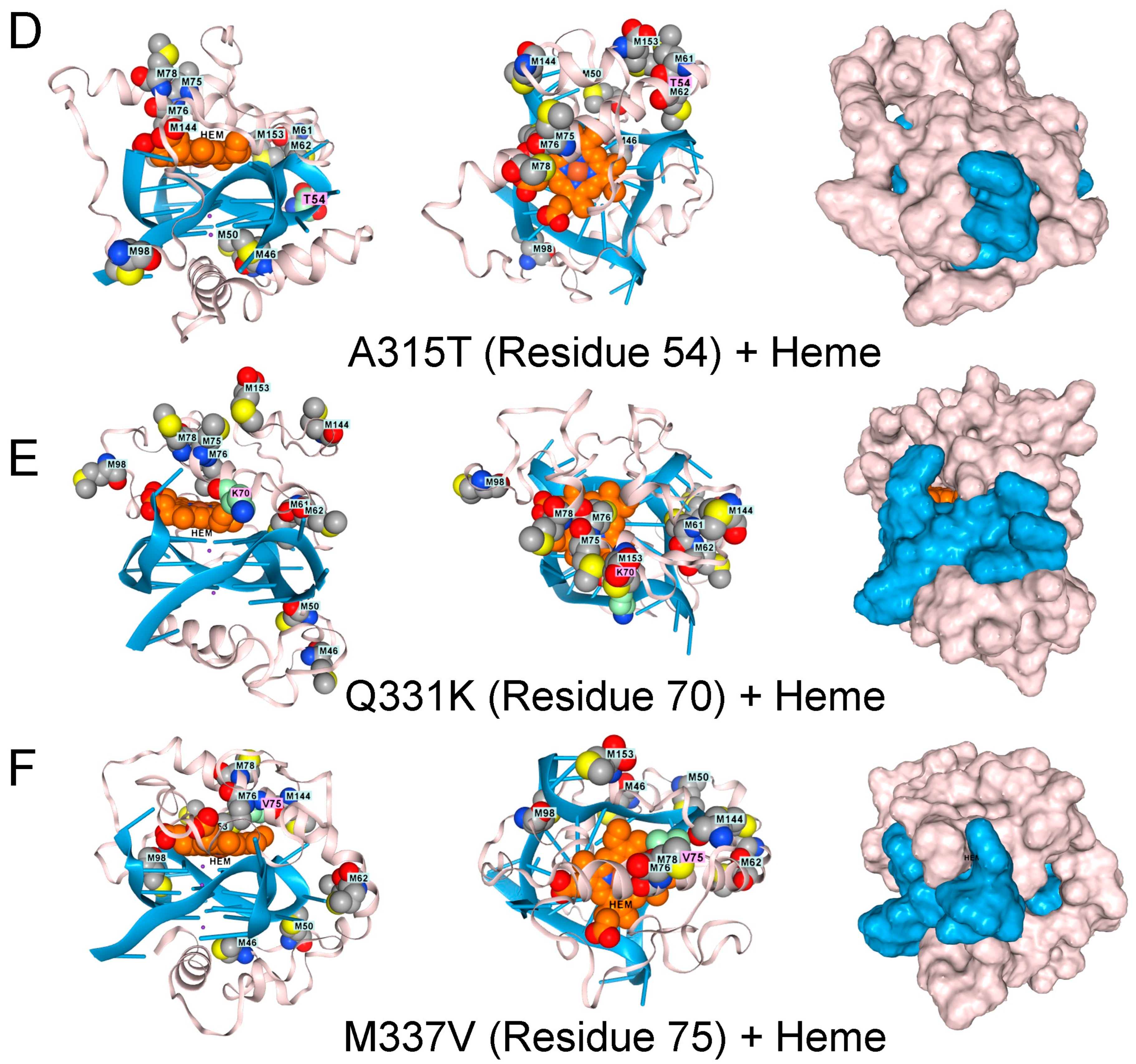 Antioxidants 15 00005 g003b Antioxidants 15 00005 g003b