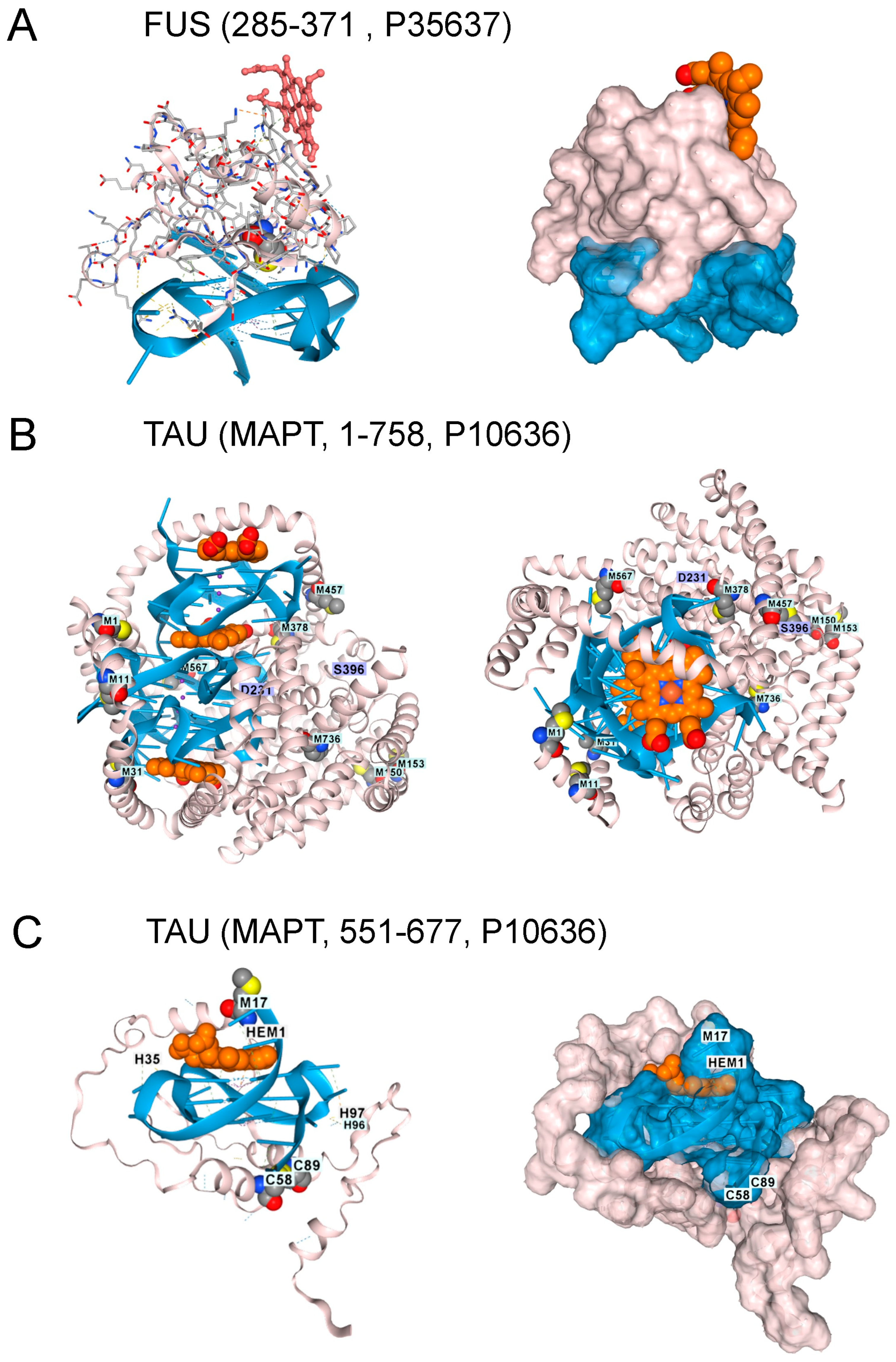 Antioxidants 15 00005 g004 Antioxidants 15 00005 g004