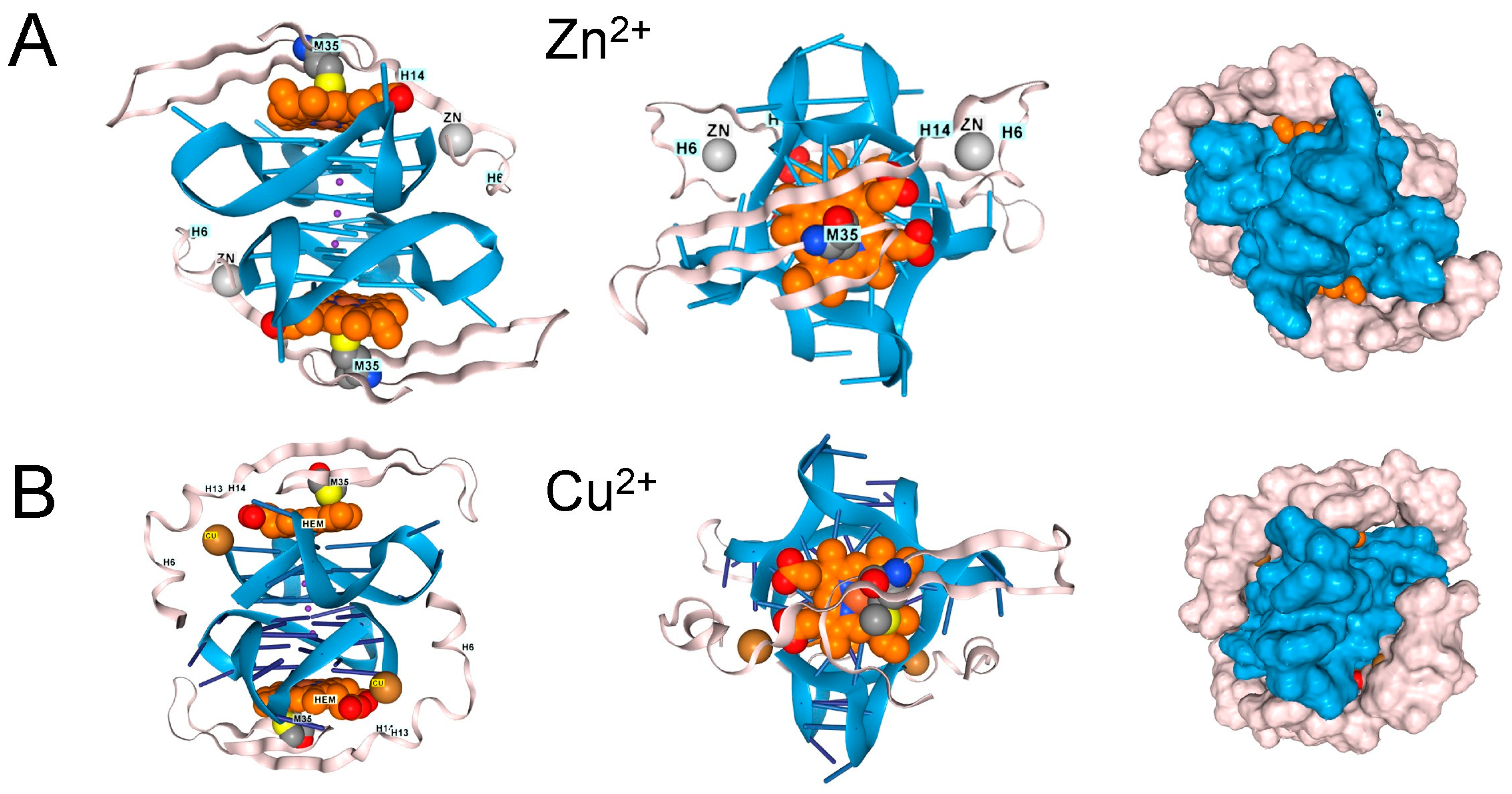 Antioxidants 15 00005 g005a Antioxidants 15 00005 g005a