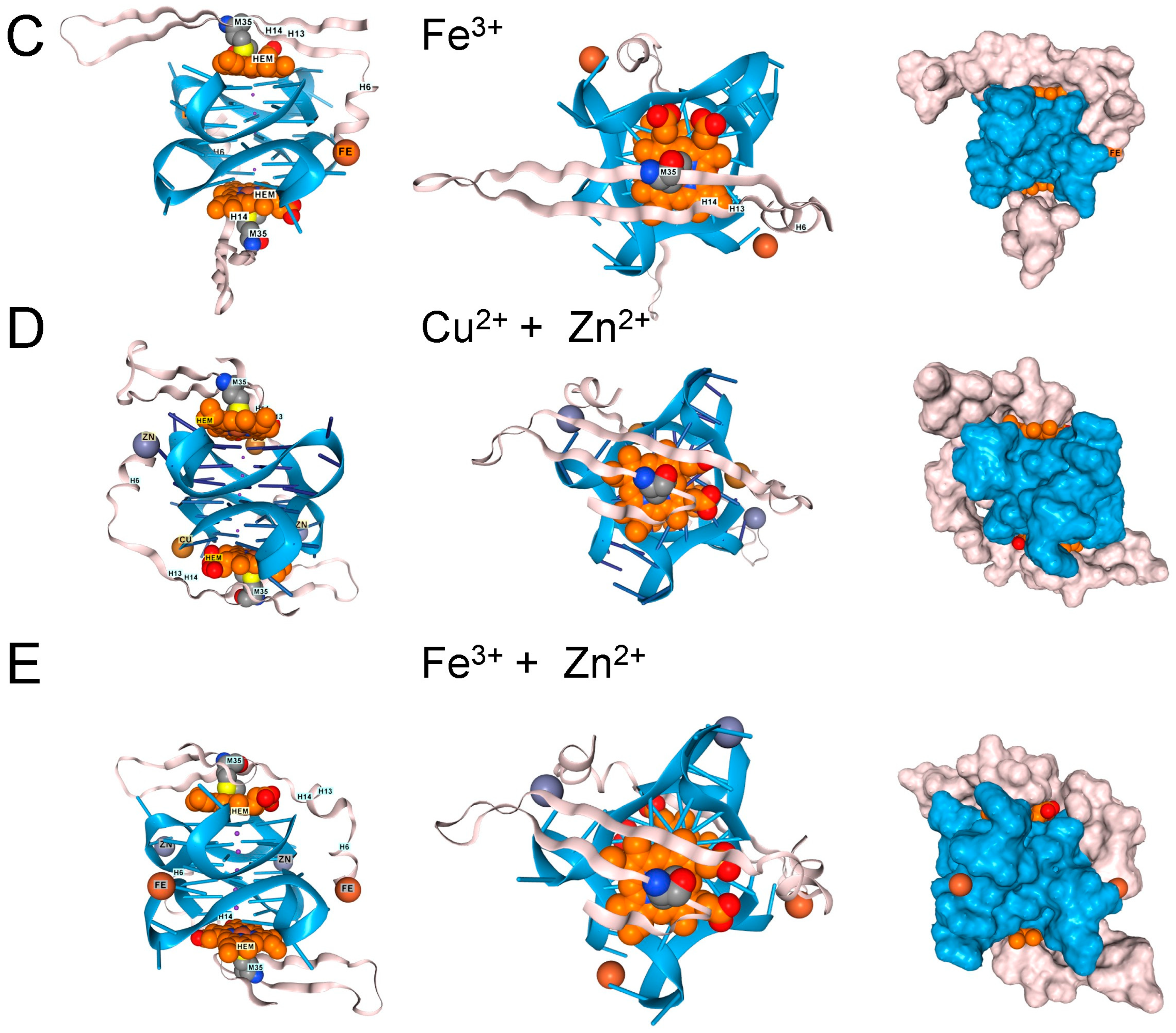 Antioxidants 15 00005 g005b Antioxidants 15 00005 g005b