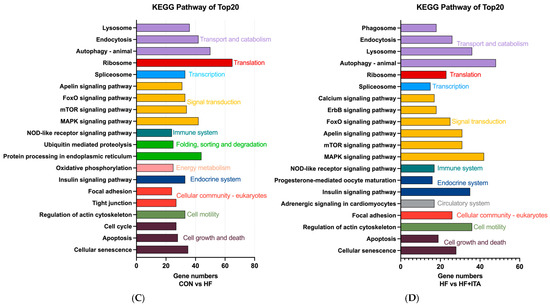 Antioxidants 15 00006 g004b