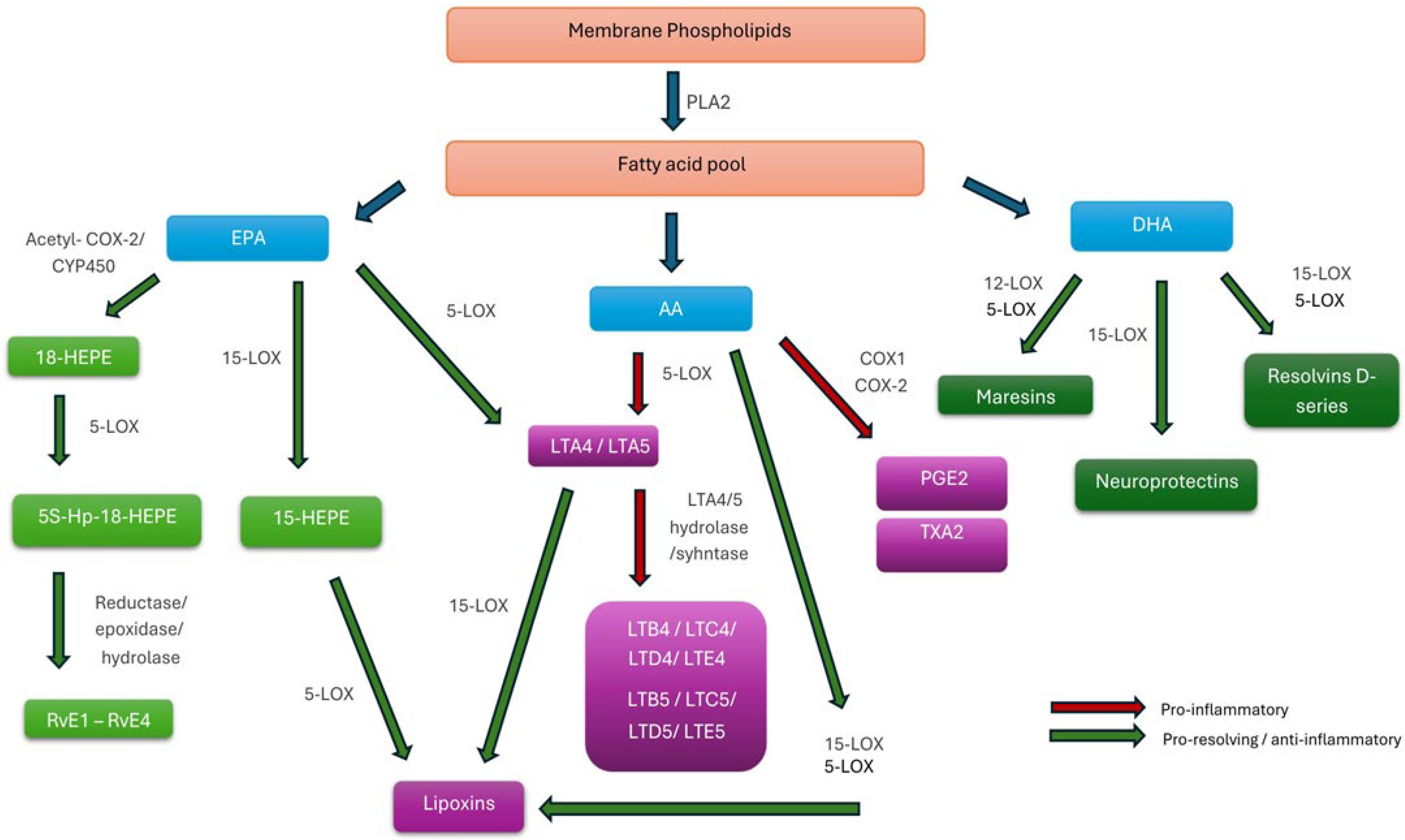 Antioxidants 15 00009 g002
