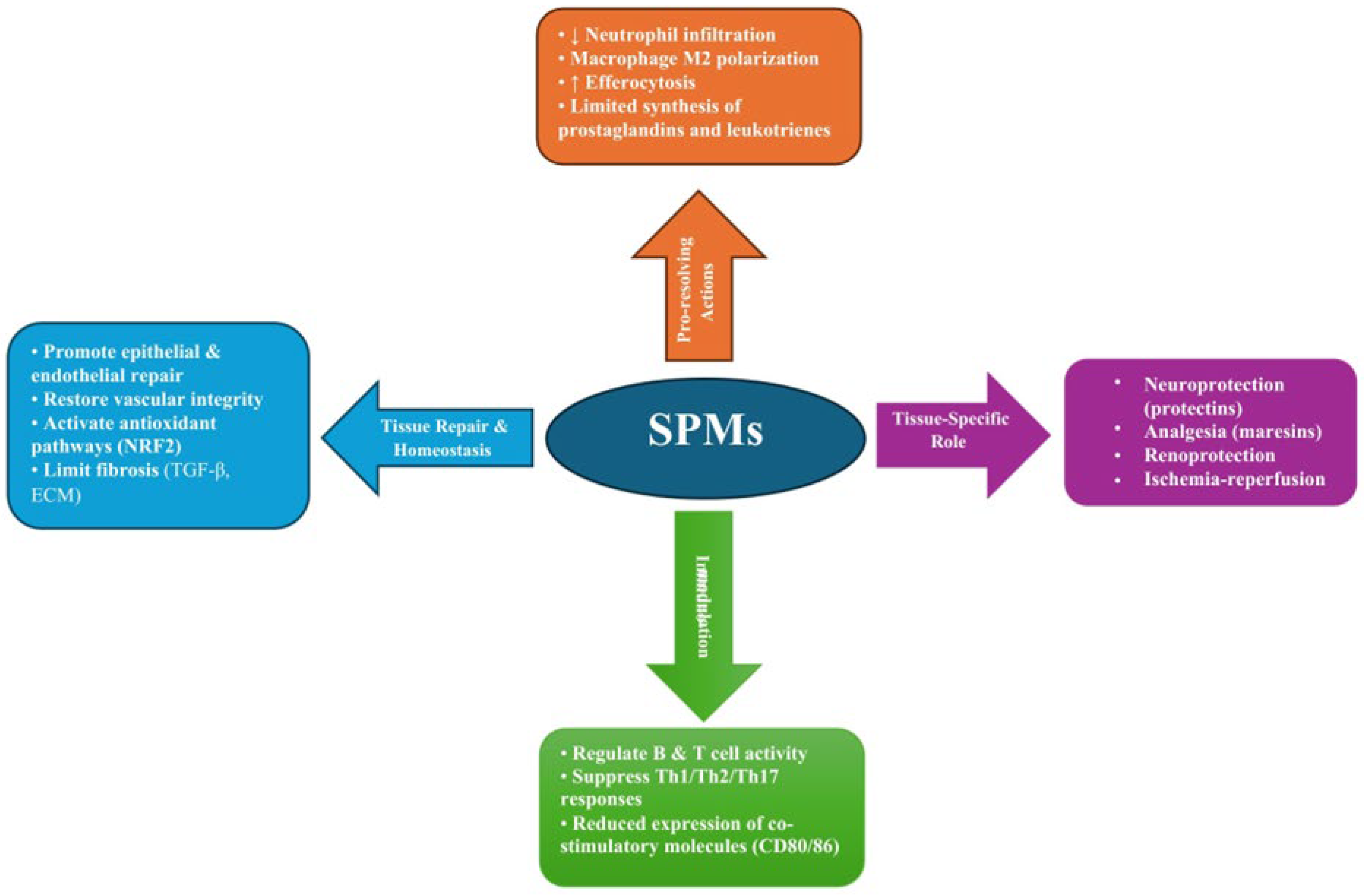 Antioxidants 15 00009 g003