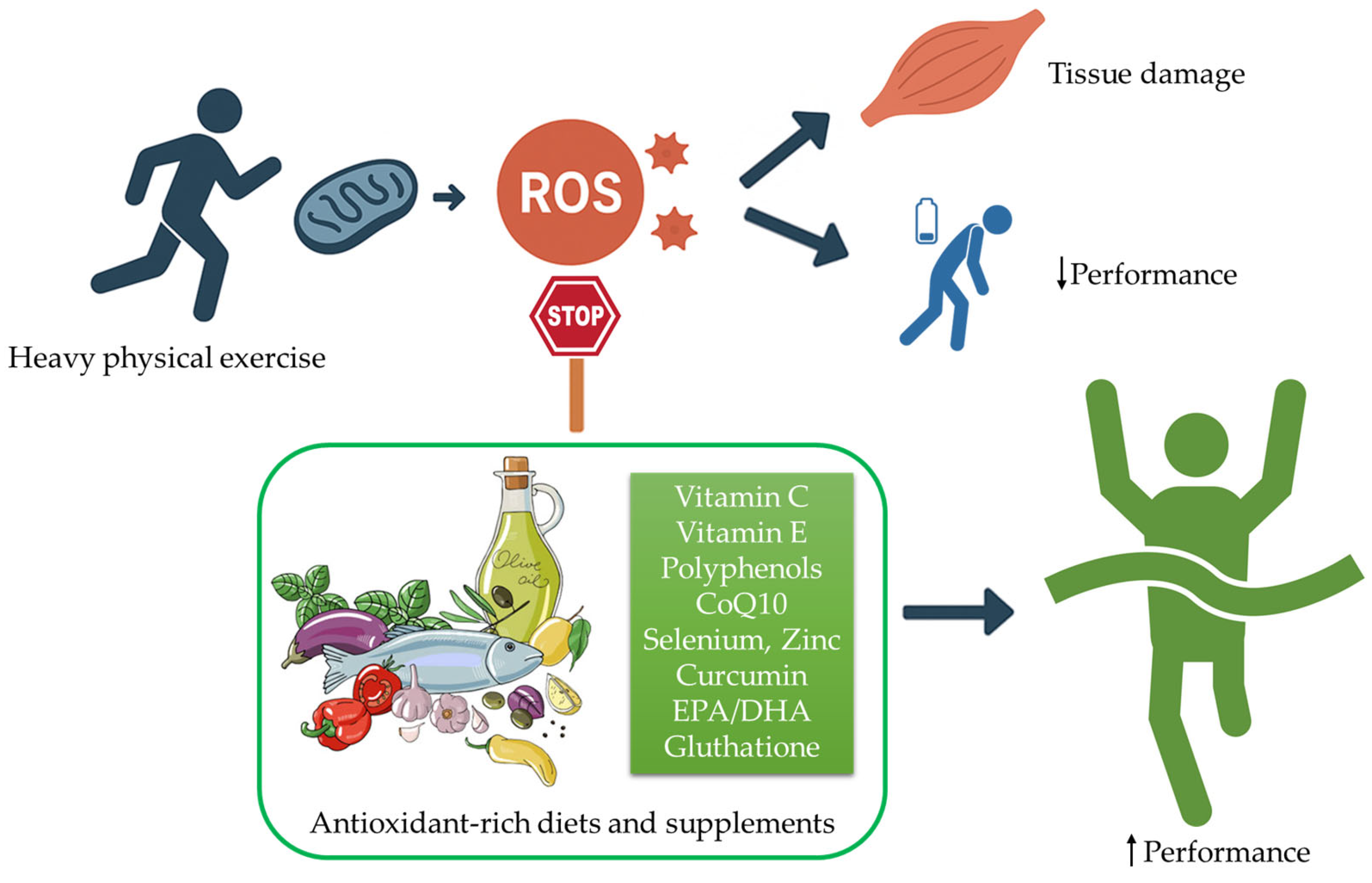 Antioxidants 15 00010 g001