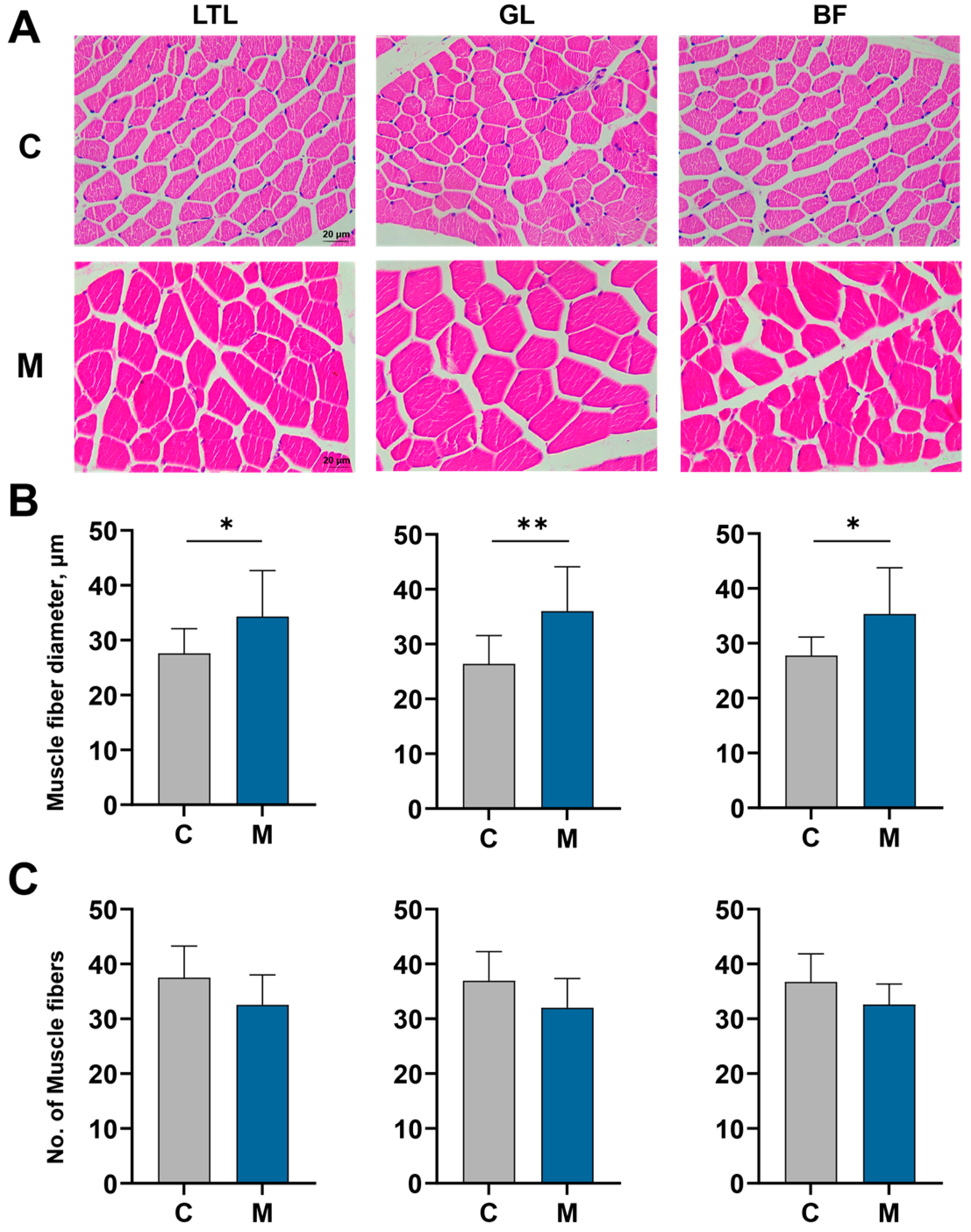 Antioxidants 15 00011 g001 Antioxidants 15 00011 g001