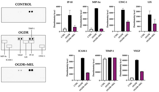 Antioxidants 15 00013 g003