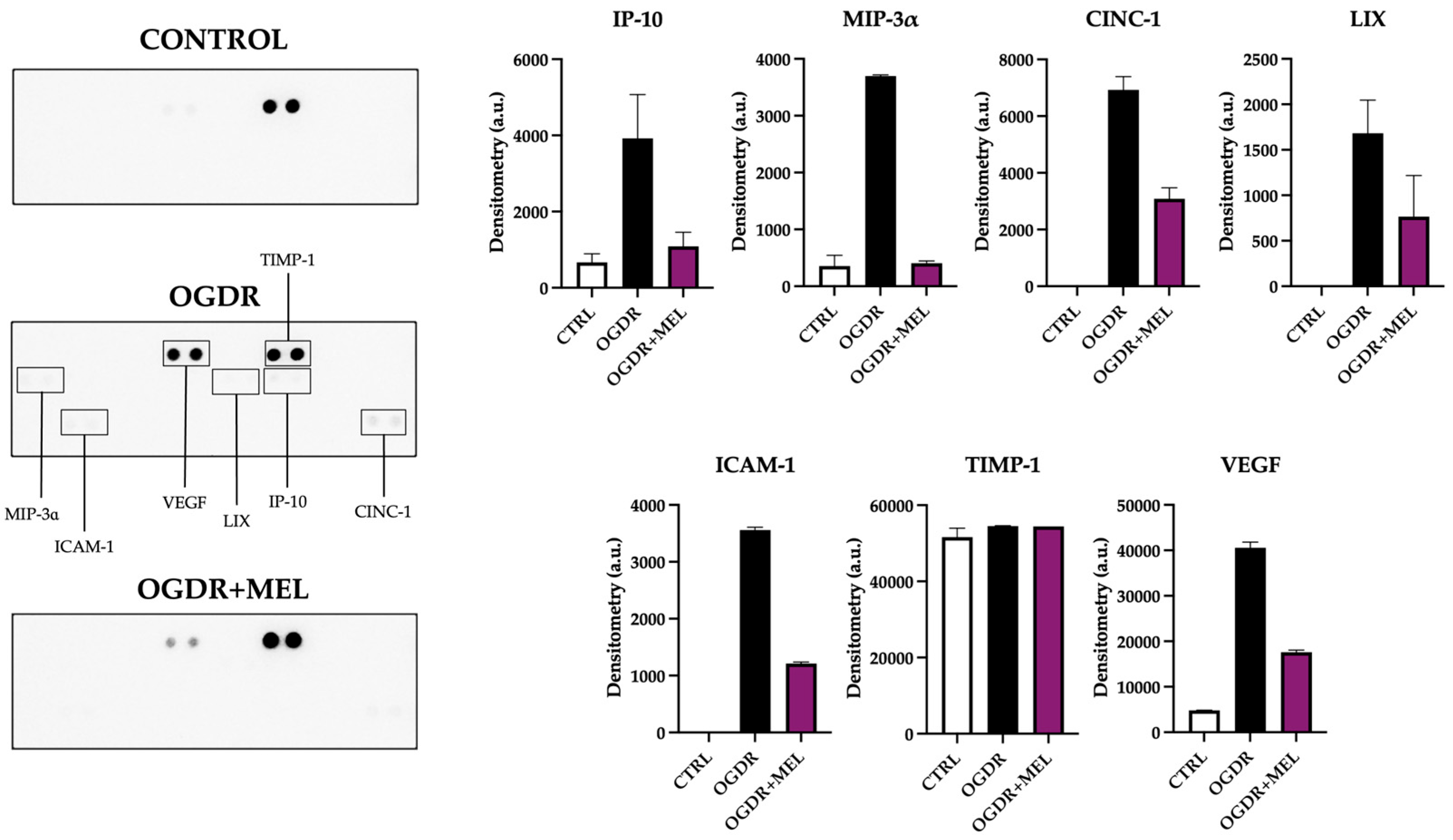 Antioxidants 15 00013 g003