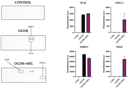Antioxidants 15 00013 g004