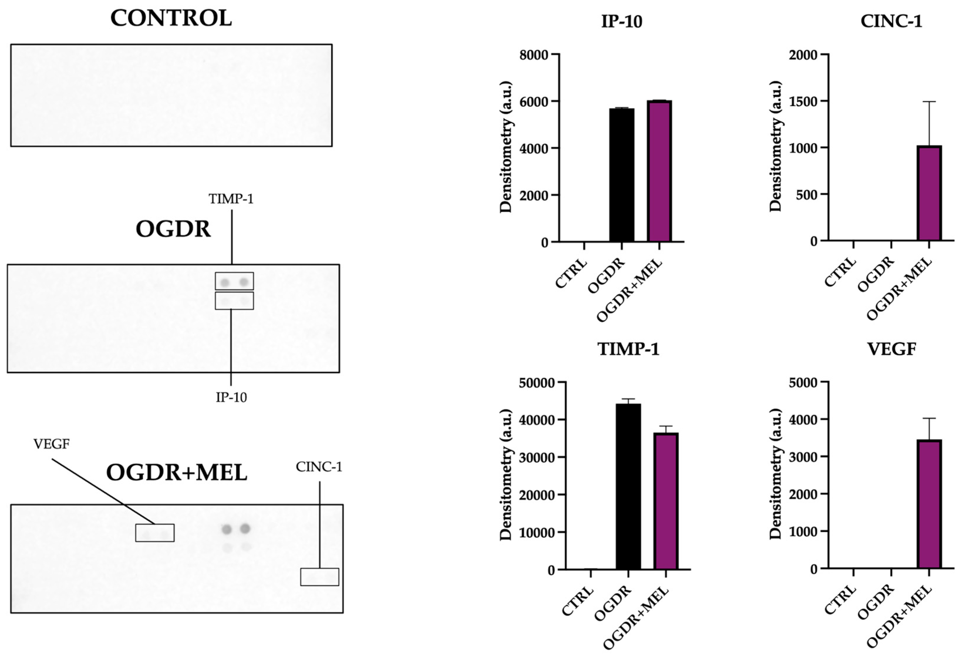 Antioxidants 15 00013 g004