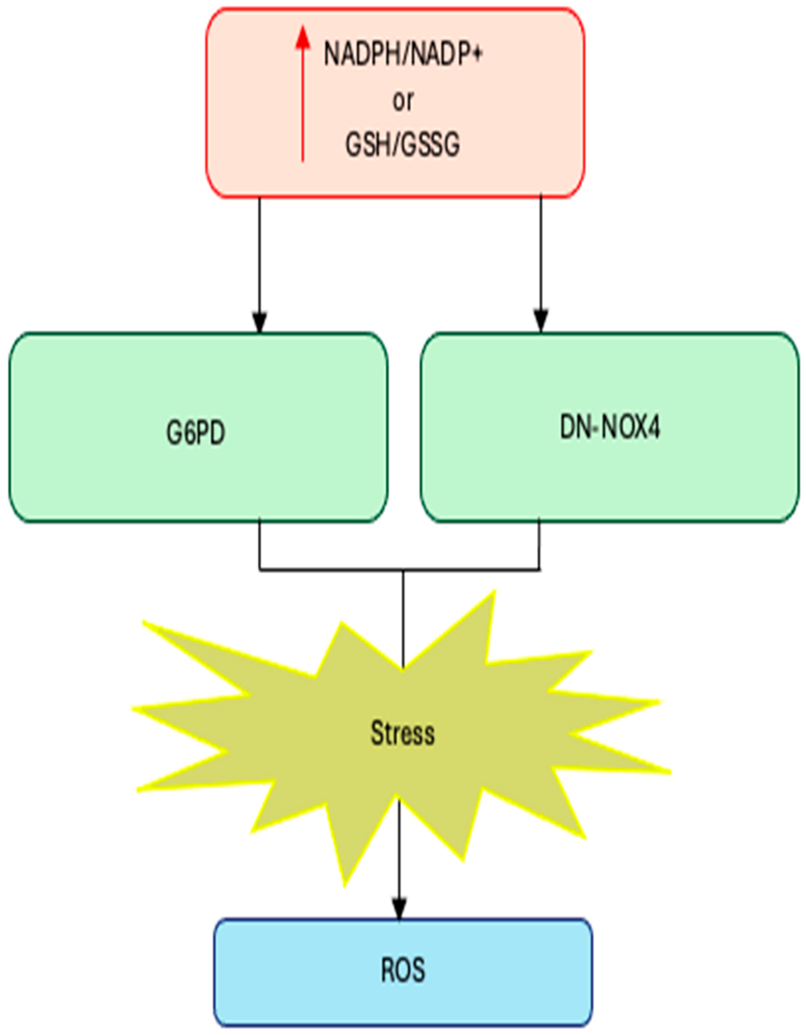 Antioxidants 15 00017 g001 Antioxidants 15 00017 g001