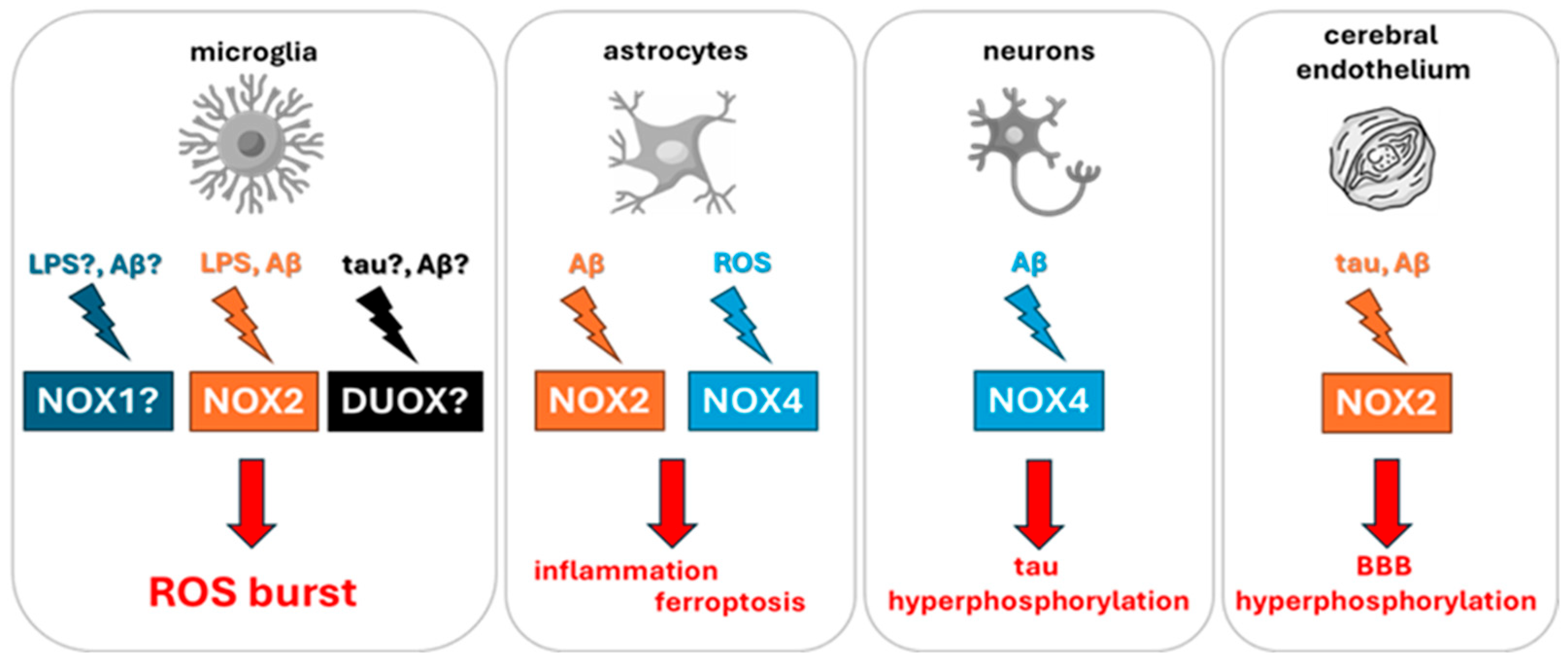 Antioxidants 15 00017 g002 Antioxidants 15 00017 g002