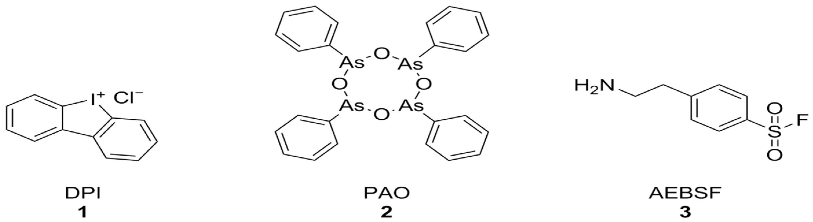 Antioxidants 15 00017 g003 Antioxidants 15 00017 g003
