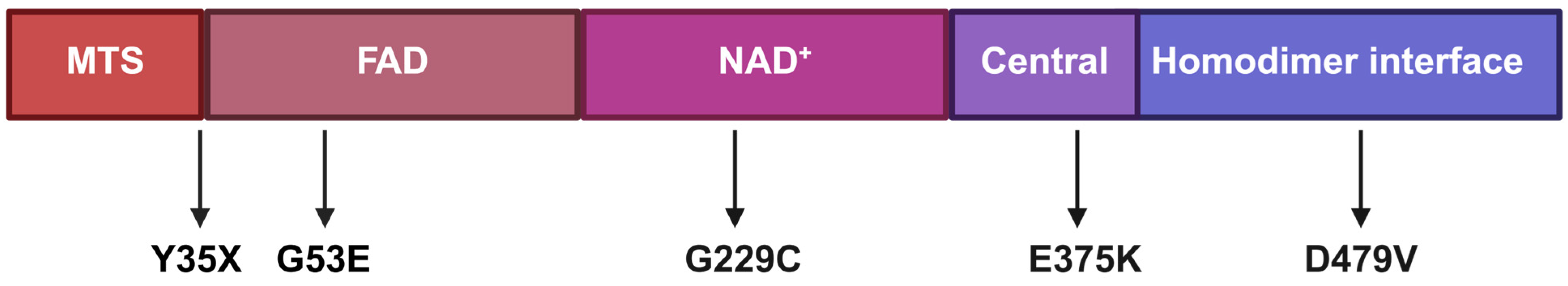 Antioxidants 15 00019 g001