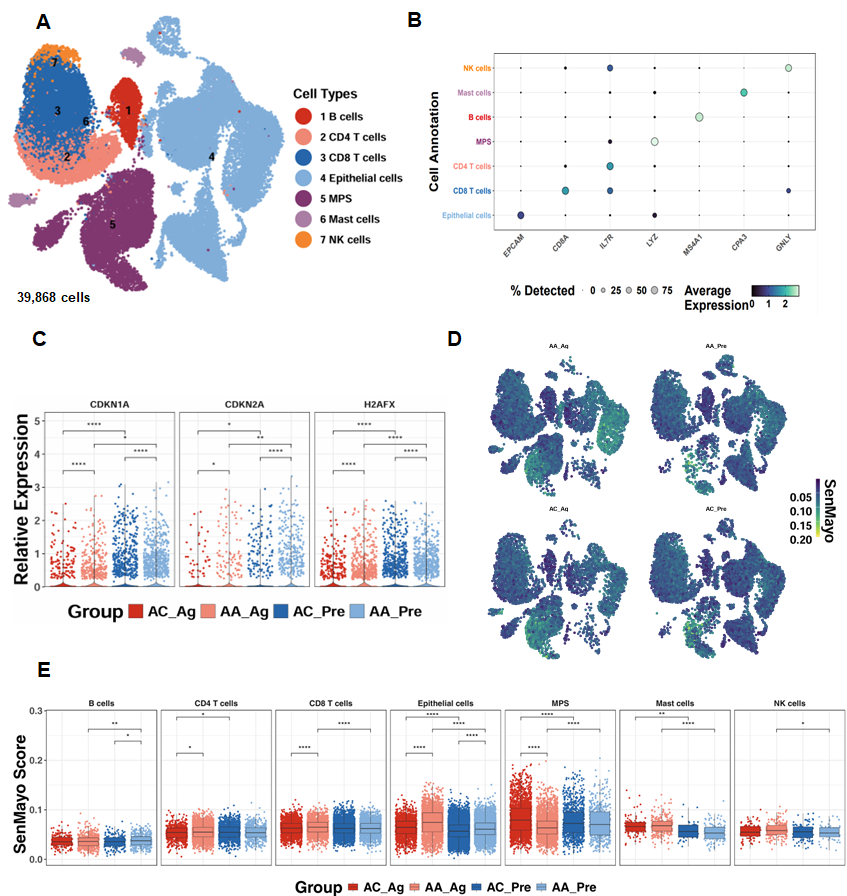 Antioxidants 15 00022 g001
