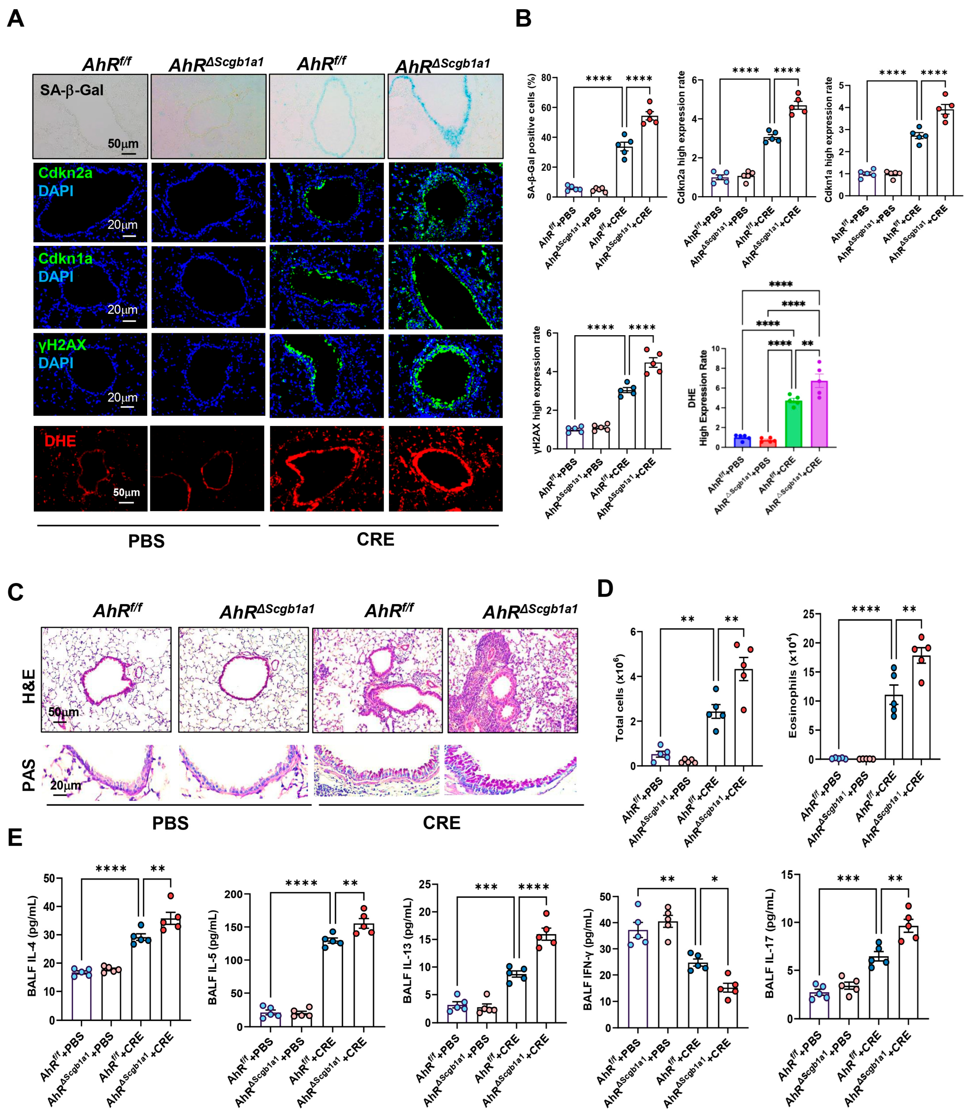 Antioxidants 15 00022 g004