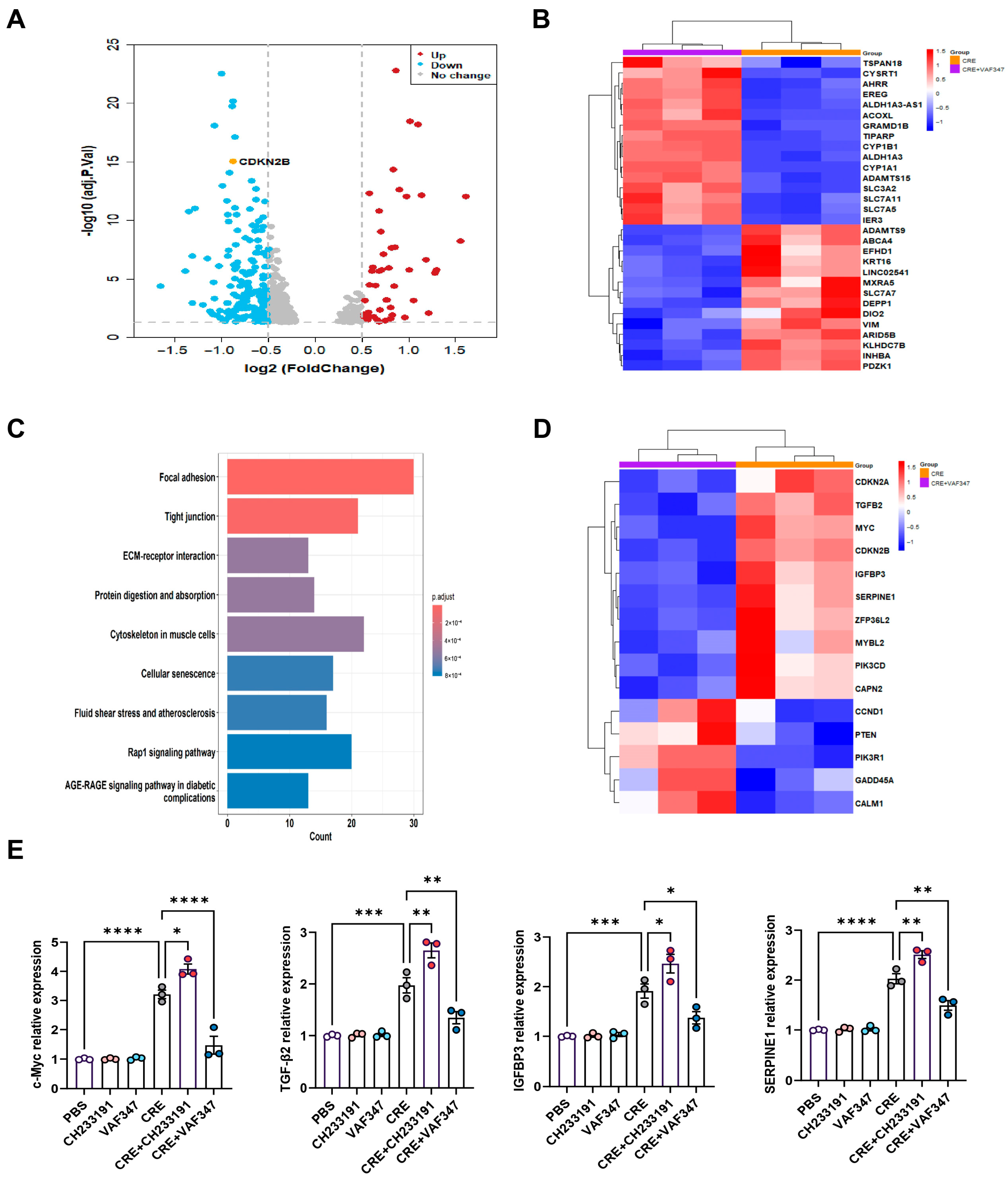 Antioxidants 15 00022 g005