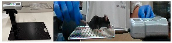 Antioxidants 15 00023 i001