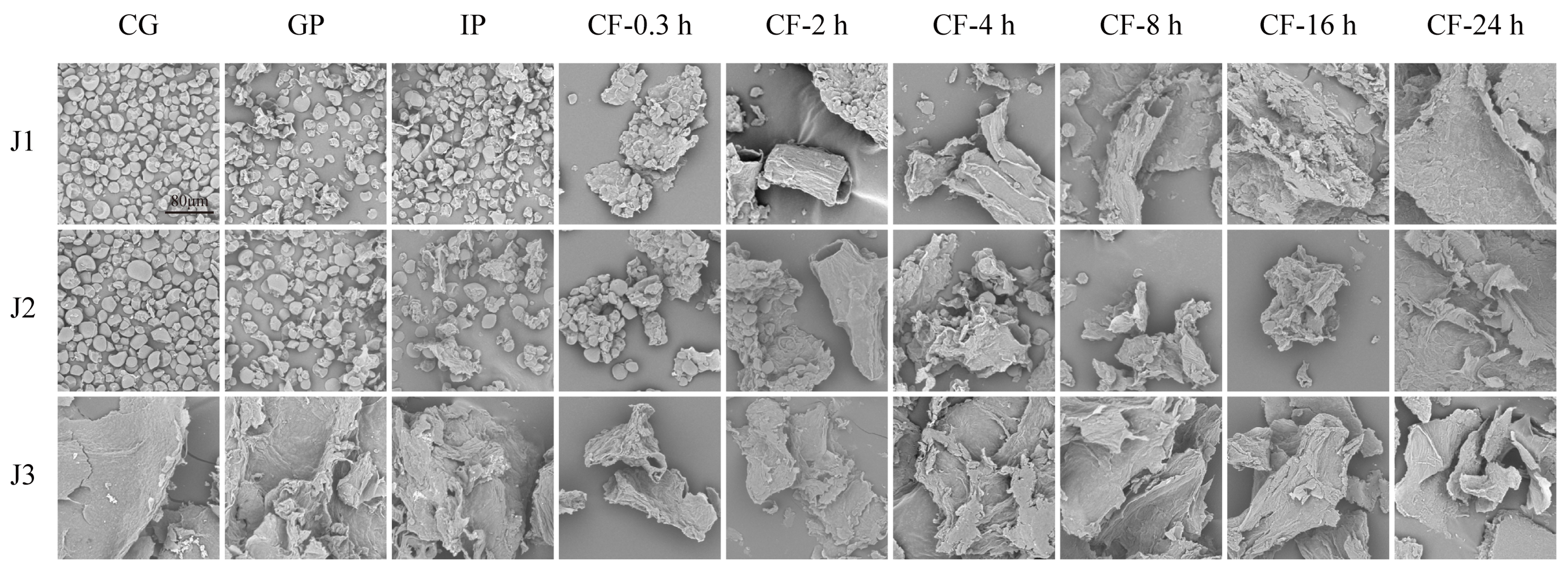 Antioxidants 15 00026 g001