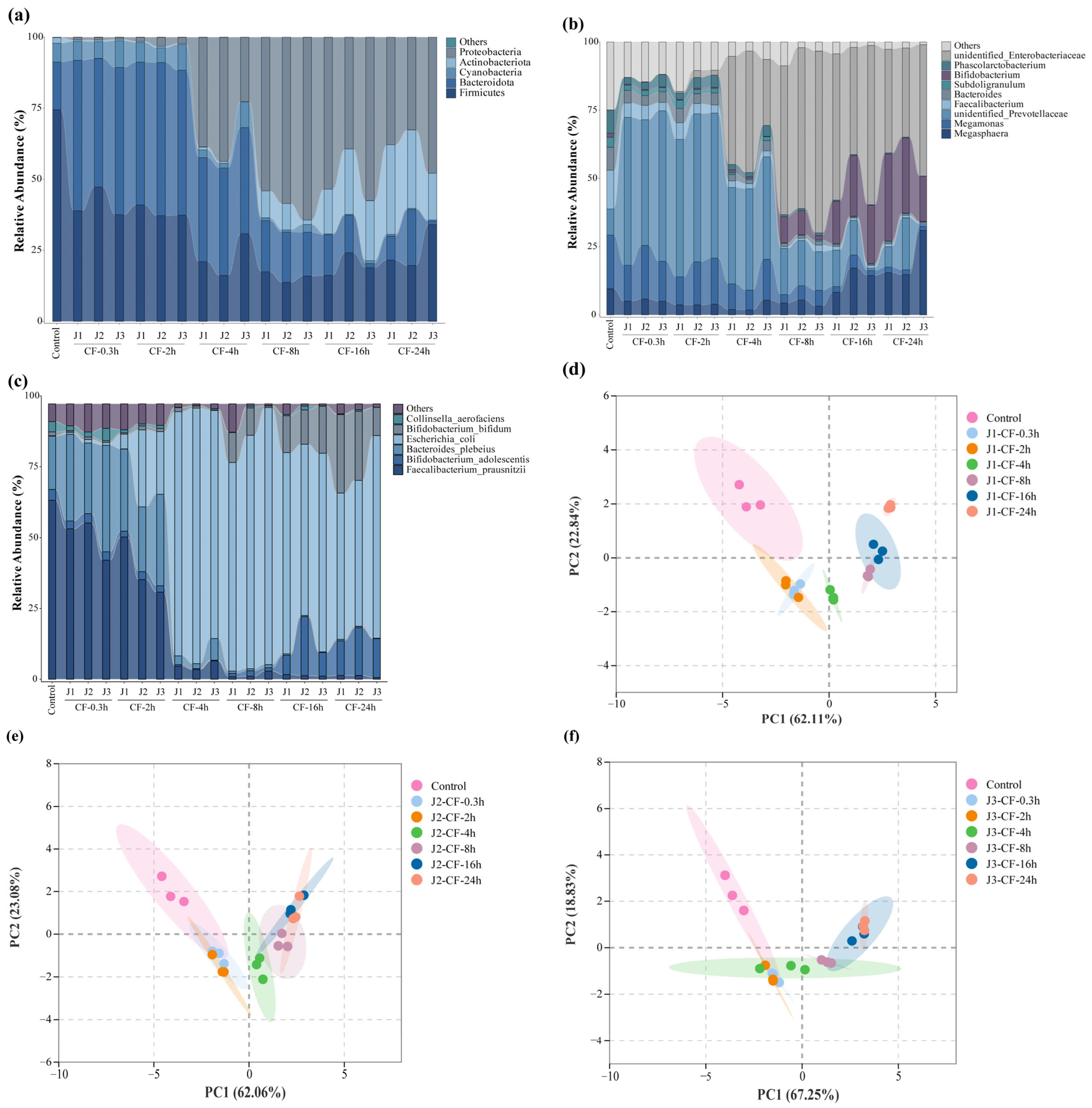 Antioxidants 15 00026 g007