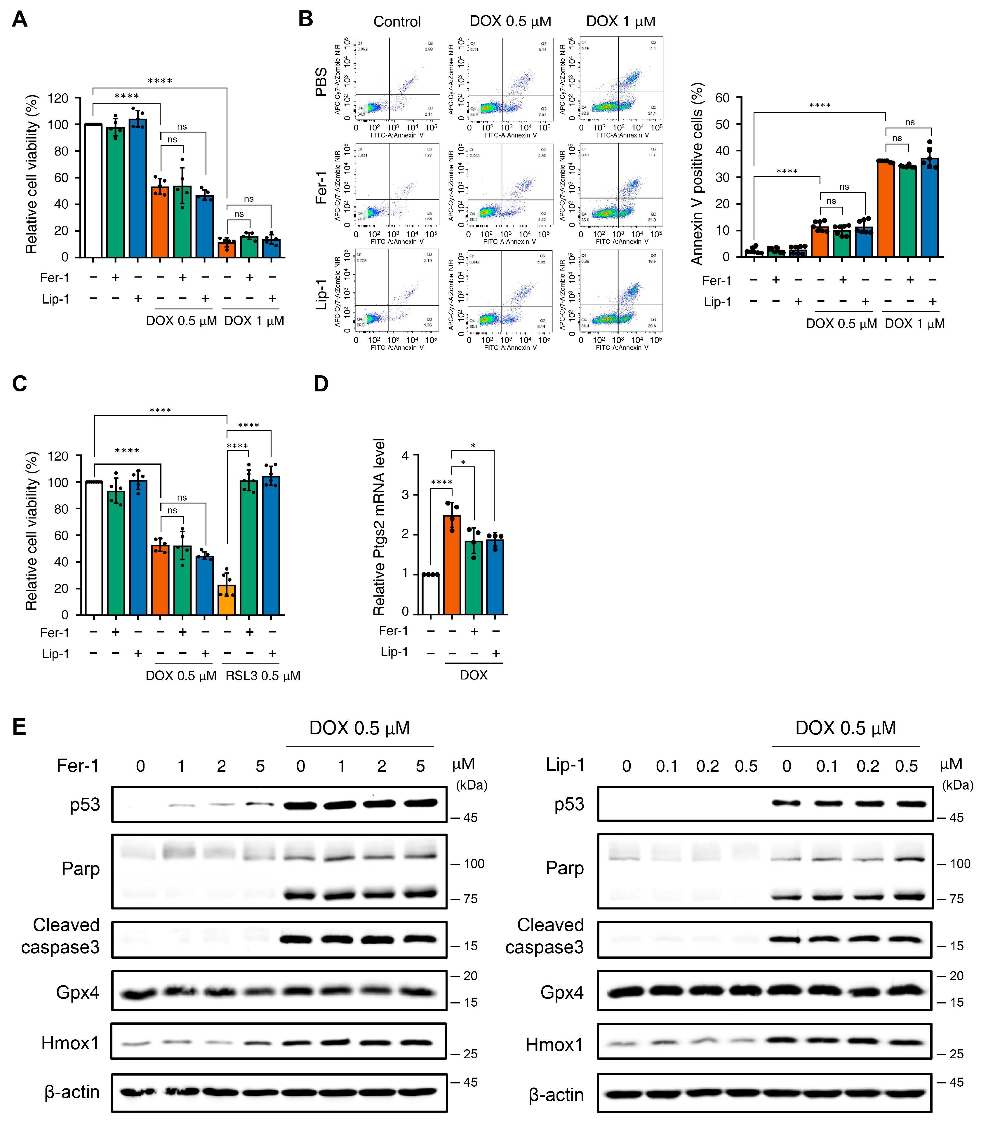 Antioxidants 15 00027 g001 Antioxidants 15 00027 g001
