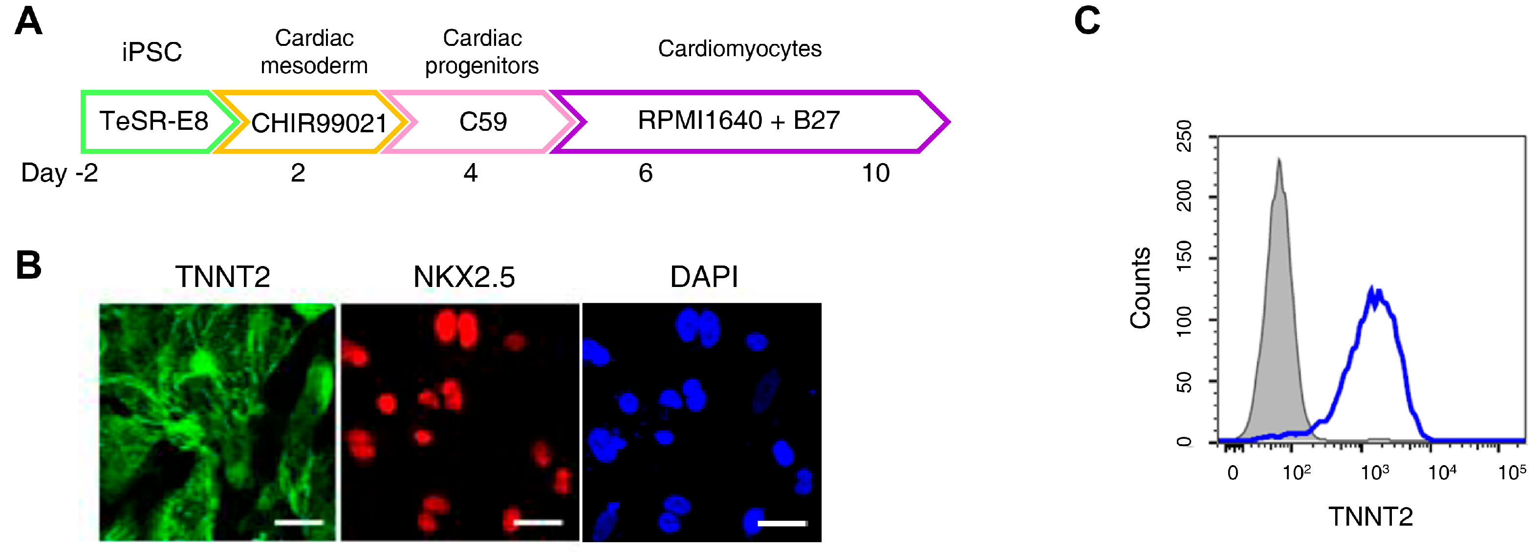 Antioxidants 15 00027 g002a Antioxidants 15 00027 g002a