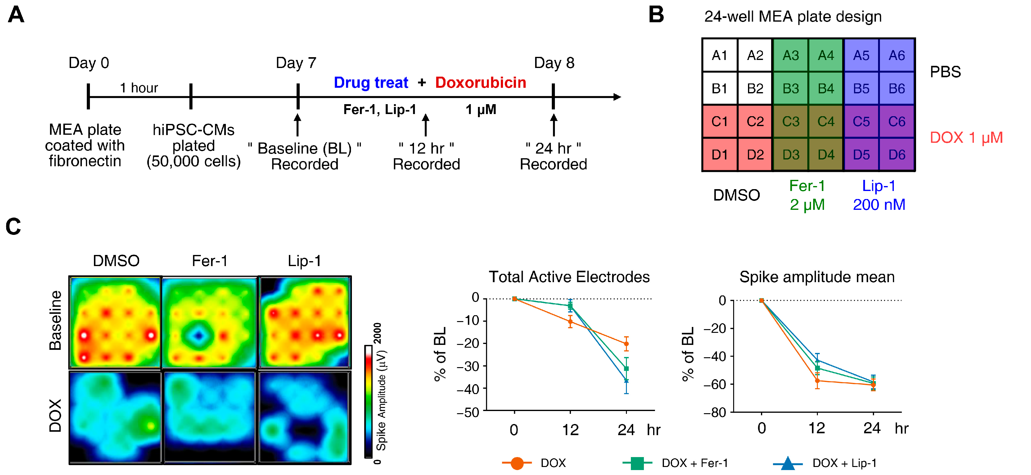 Antioxidants 15 00027 g003a Antioxidants 15 00027 g003a