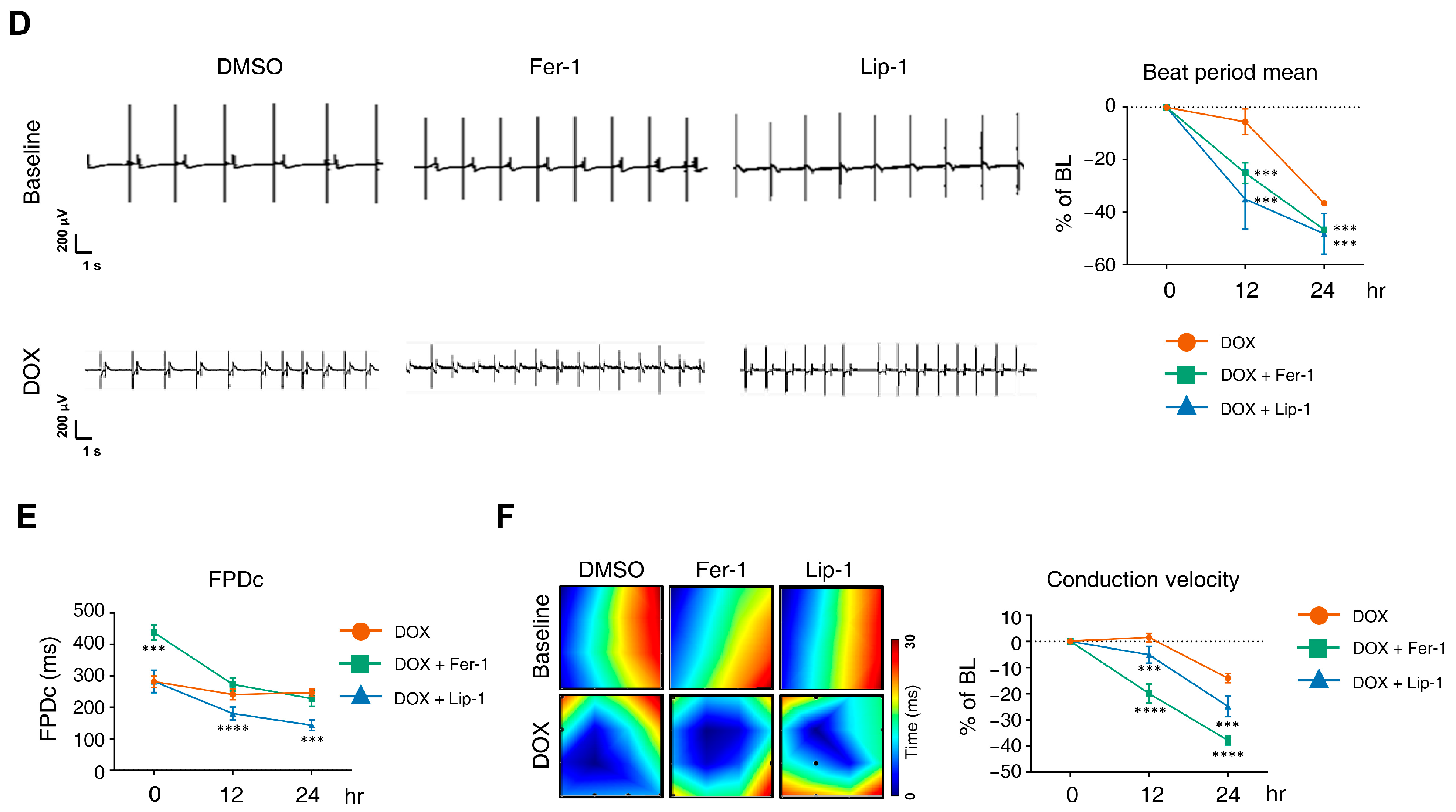Antioxidants 15 00027 g003b Antioxidants 15 00027 g003b