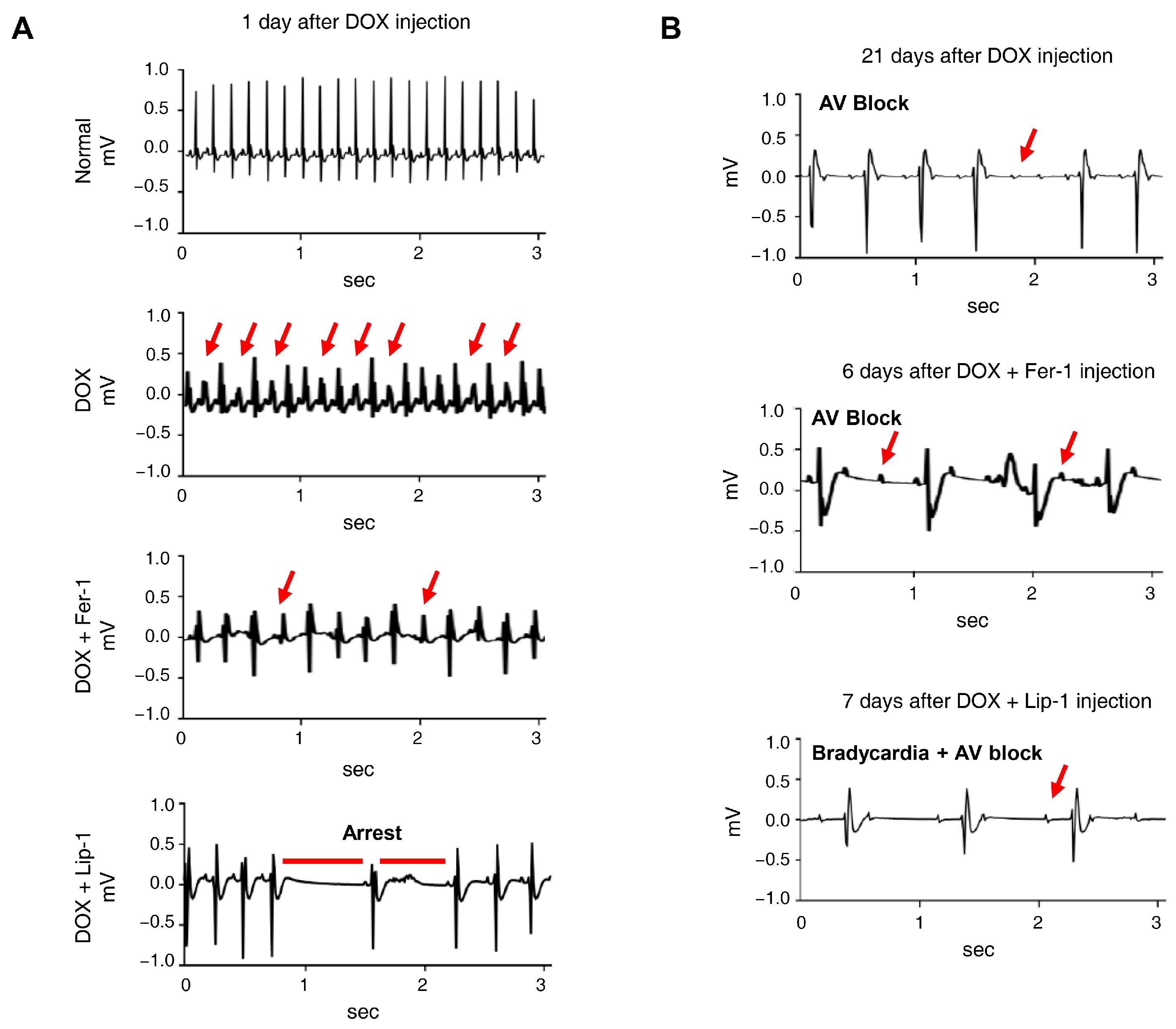 Antioxidants 15 00027 g005 Antioxidants 15 00027 g005