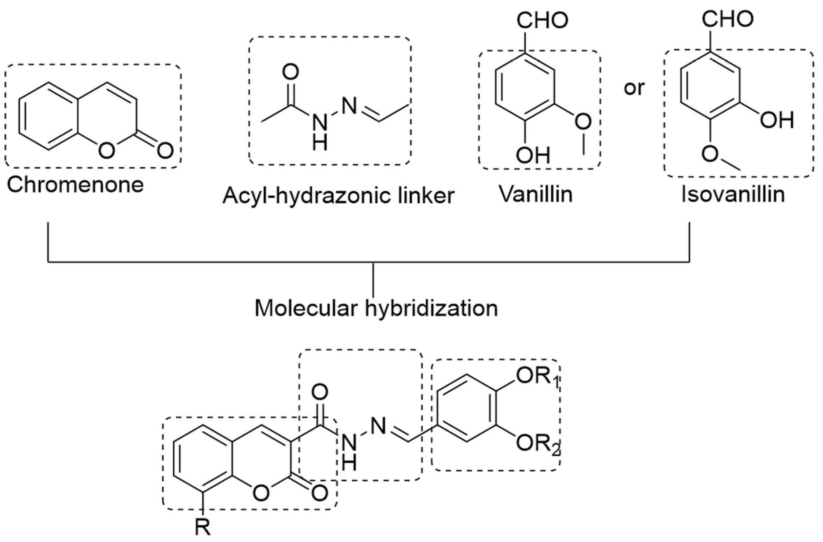 Antioxidants 15 00031 g001 Antioxidants 15 00031 g001