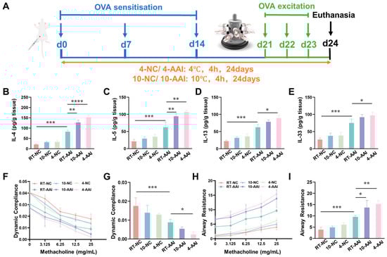 The influence of cold exposure on AAI symptoms. (A) Schematic diagram of the establishment of the in vivo model along with the corresponding treatment protocol. The blue arrows point to the time point of OVA sensitization, the green arrows point to the time point of OVA activation, and the black arrow points to the time point of euthanasia sampling. (B–E) Expressions of IL-4, IL-5, IL-13, and IL-33 in lung after different treatments (n = 6). (F) The modifications in lung dynamic compliance in response to various treatments. (G) The variations in lung dynamic compliance following administration of 25 mg/mL methacholine (n = 6). (H) The variations in respiratory system resistance in response to various treatments. (I) The alterations in respiratory system resistance following treatment with 25 mg/mL methacholine (n = 6), * p < 0.05; ** p < 0.01; *** p < 0.001, **** p < 0.0001.