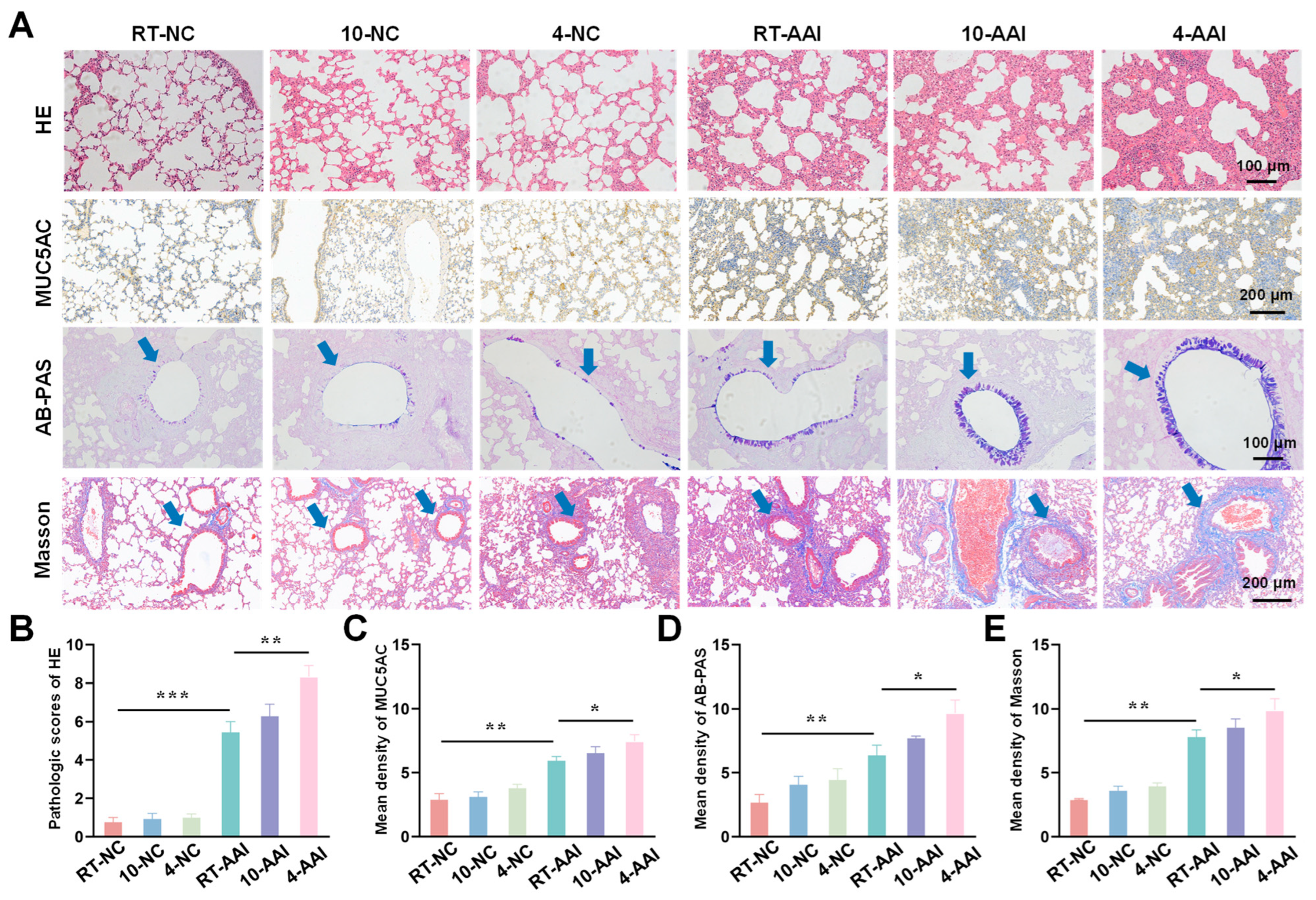 Antioxidants 15 00032 g002