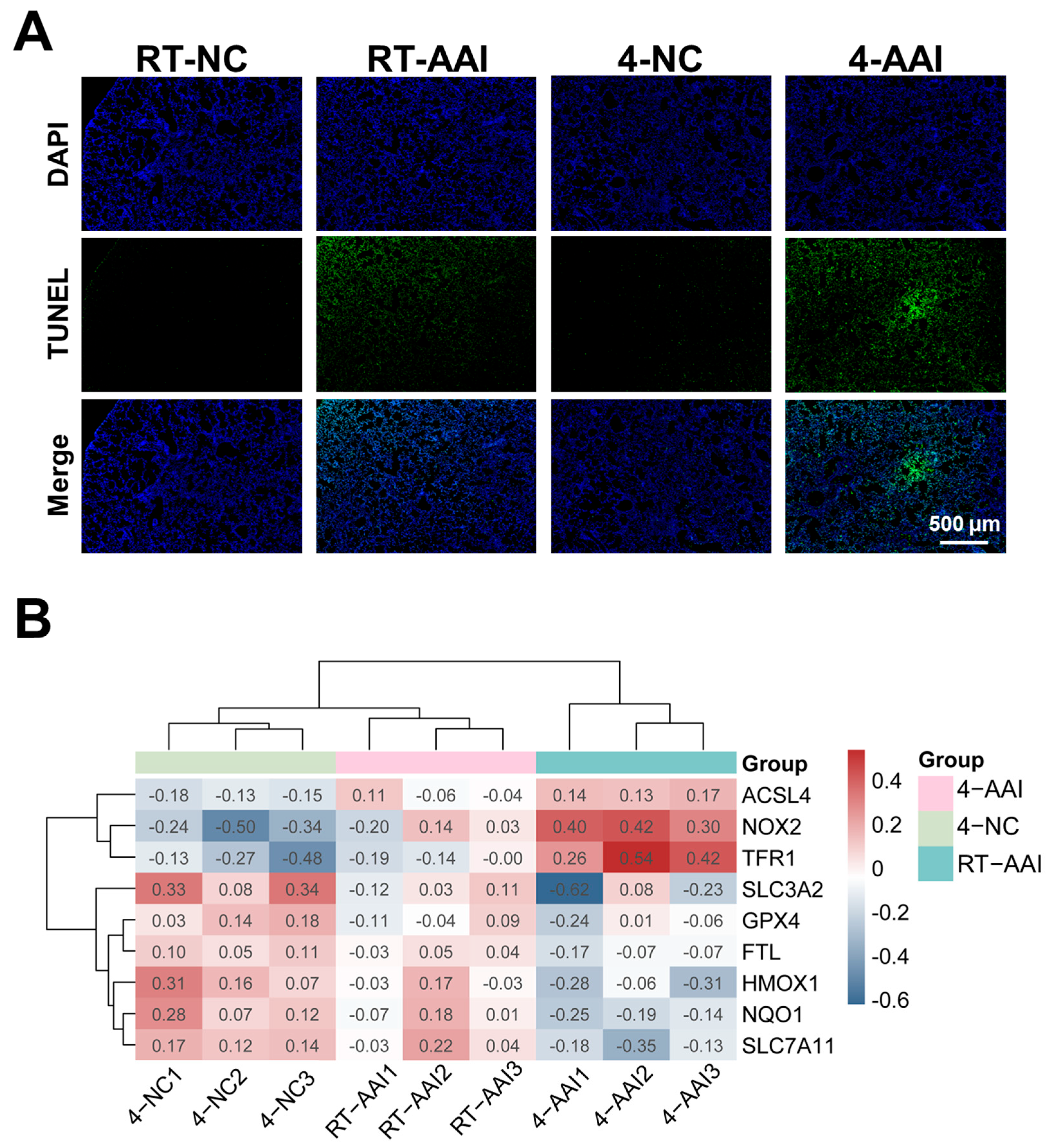 Antioxidants 15 00032 g003