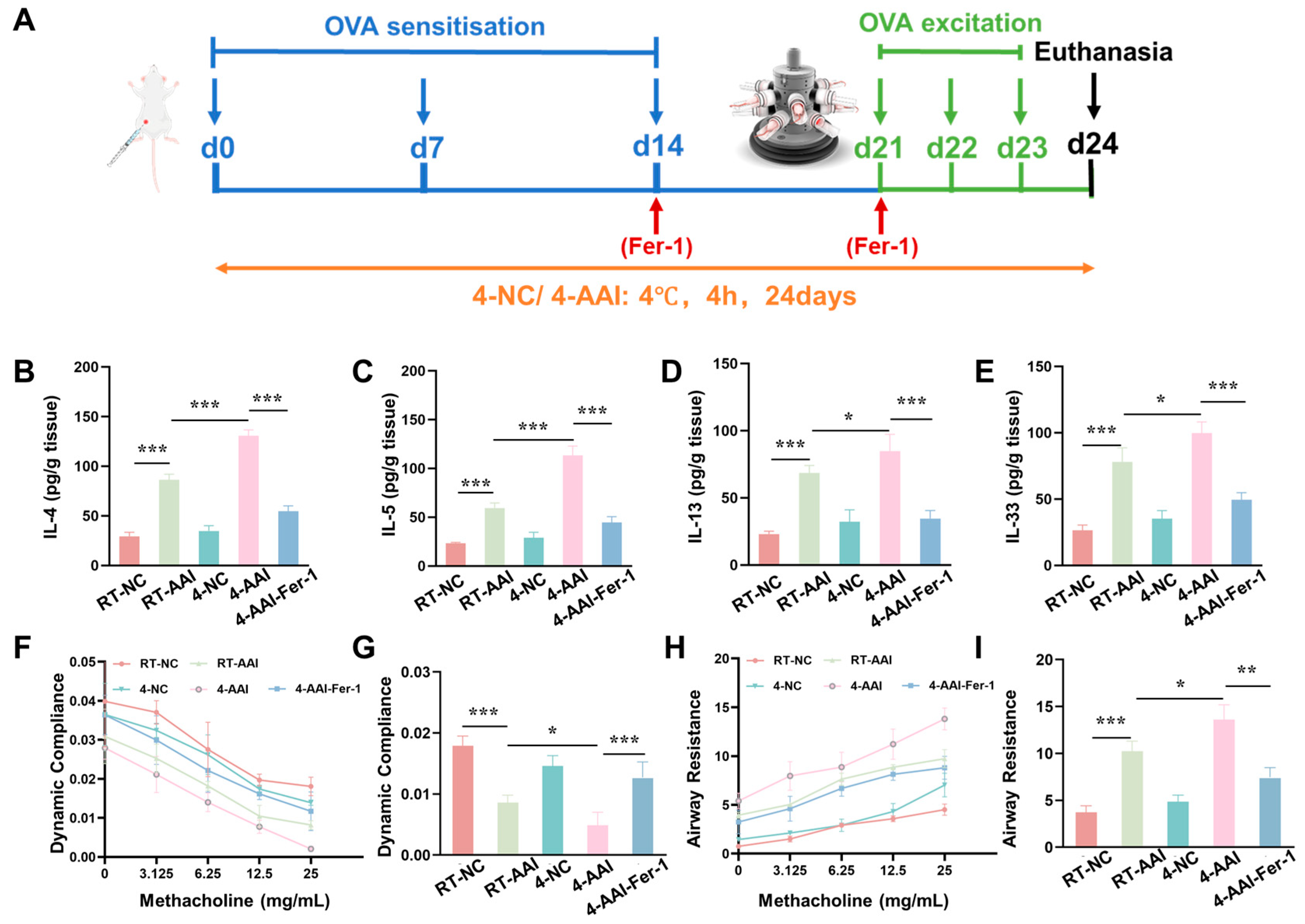Antioxidants 15 00032 g006