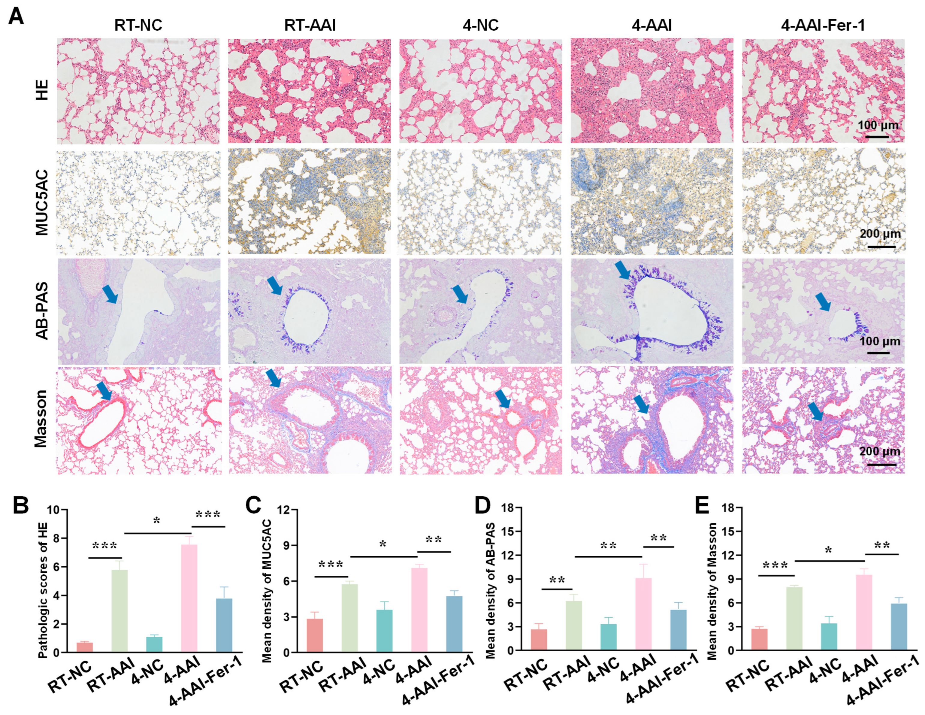 Antioxidants 15 00032 g007