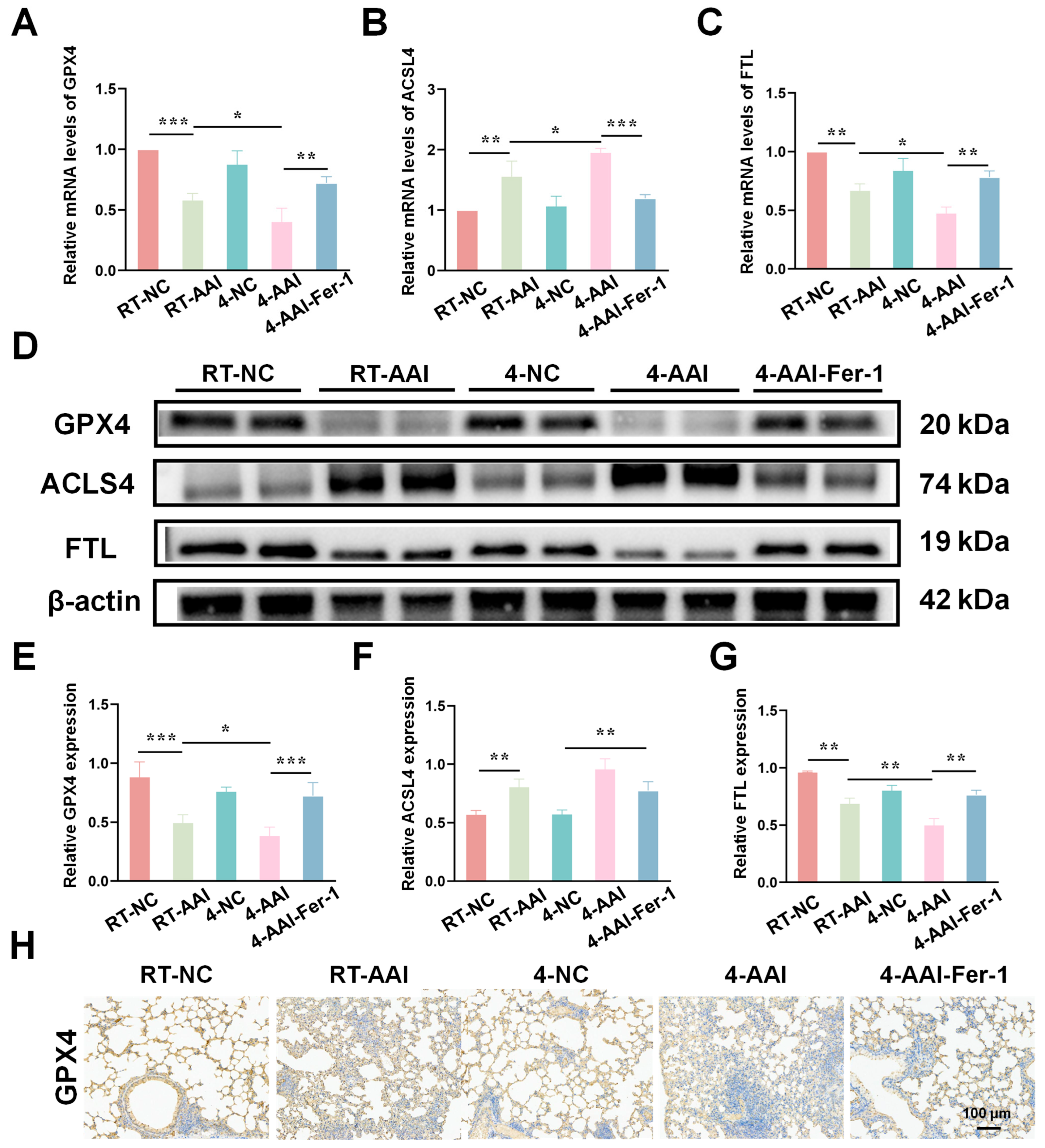 Antioxidants 15 00032 g008