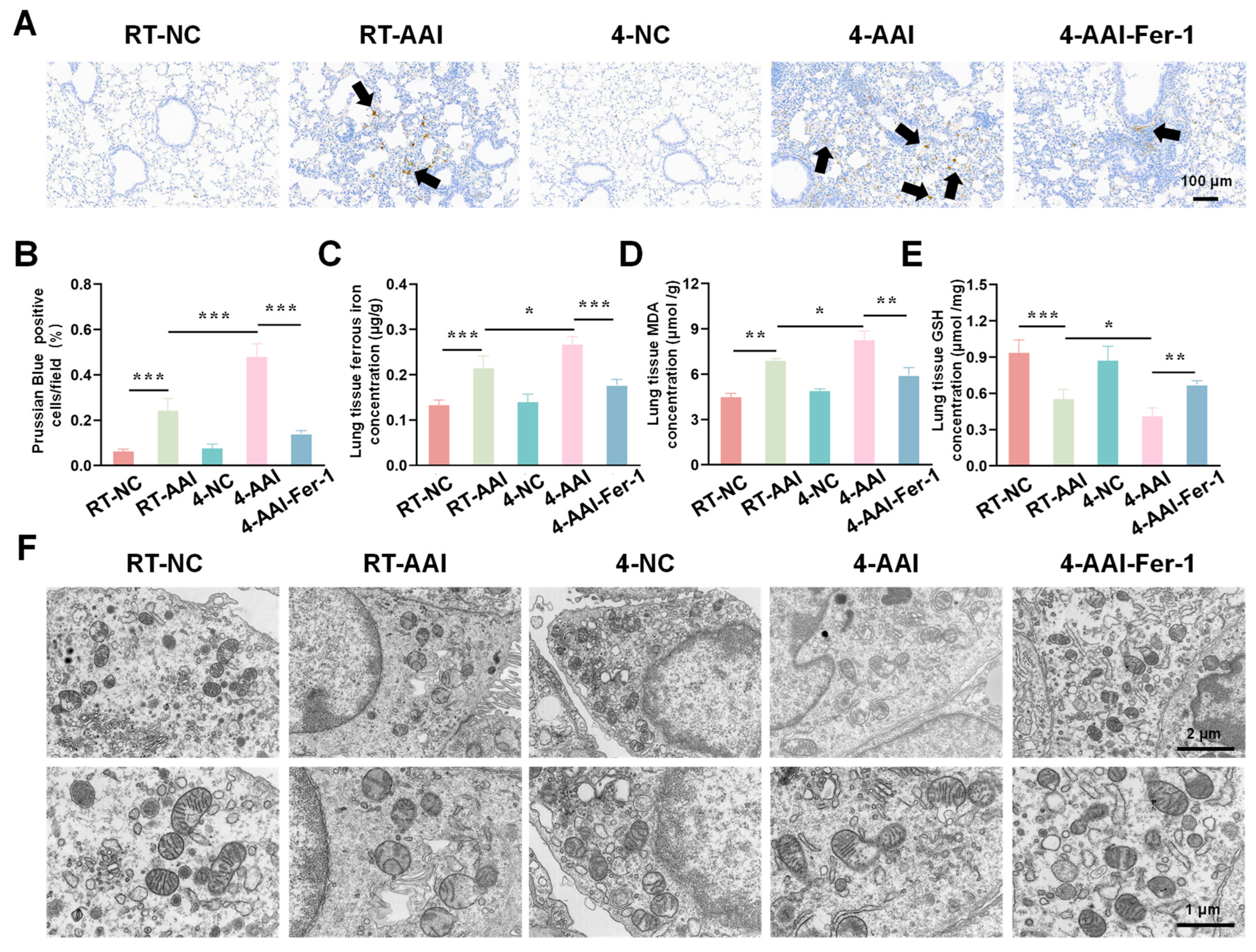Antioxidants 15 00032 g009