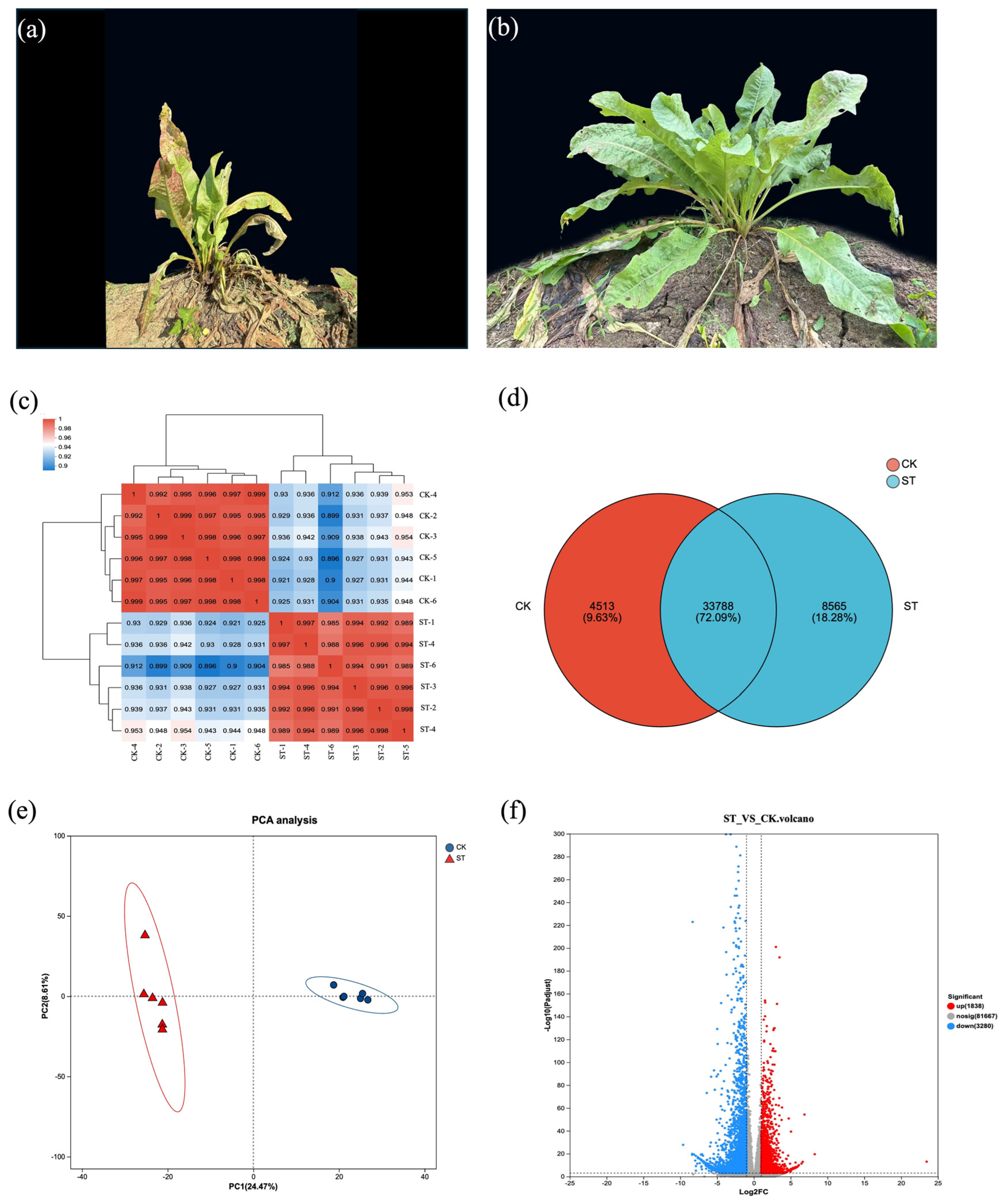 Antioxidants 15 00033 g002 Antioxidants 15 00033 g002